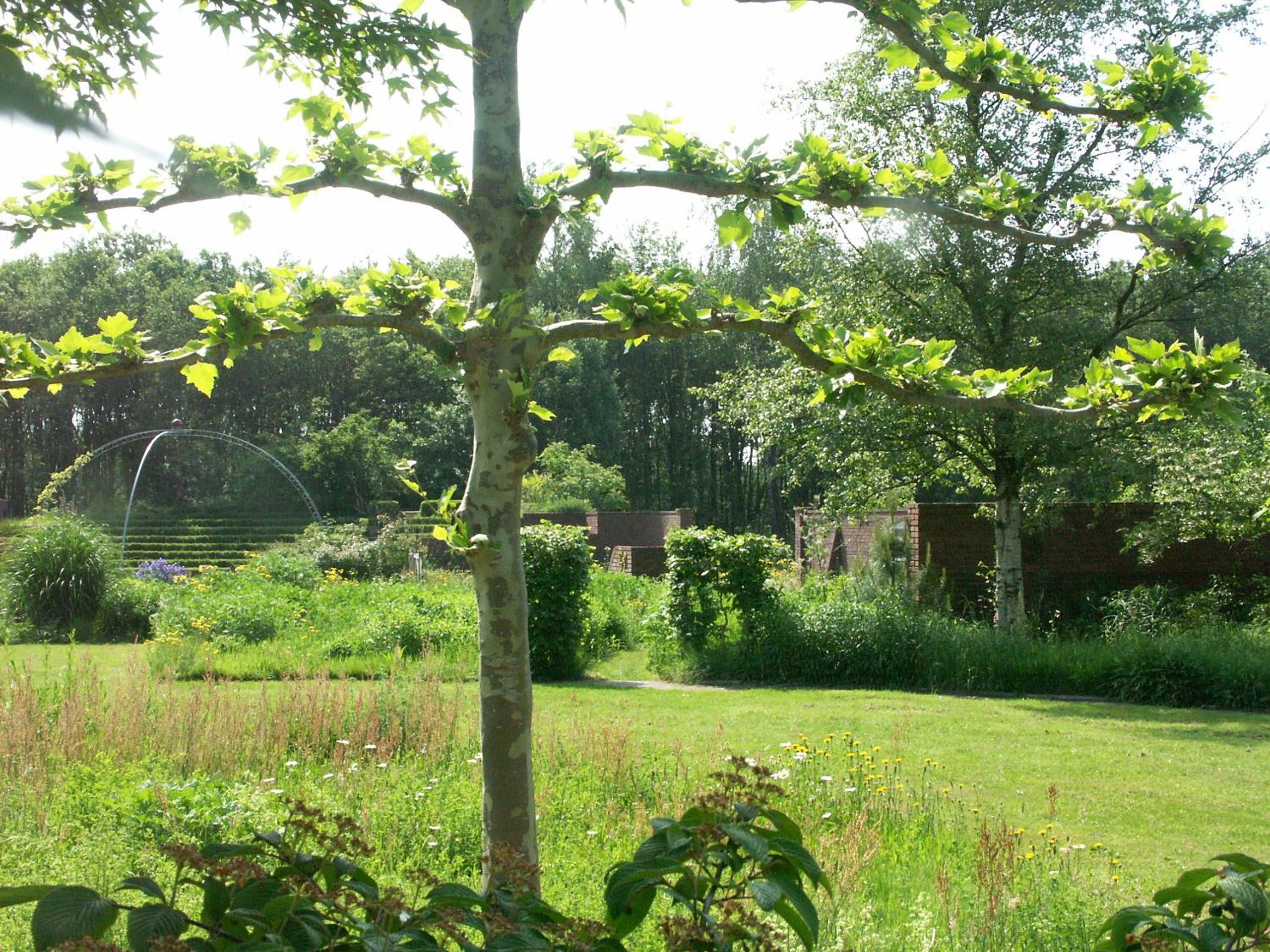 Selatuinen view 5
