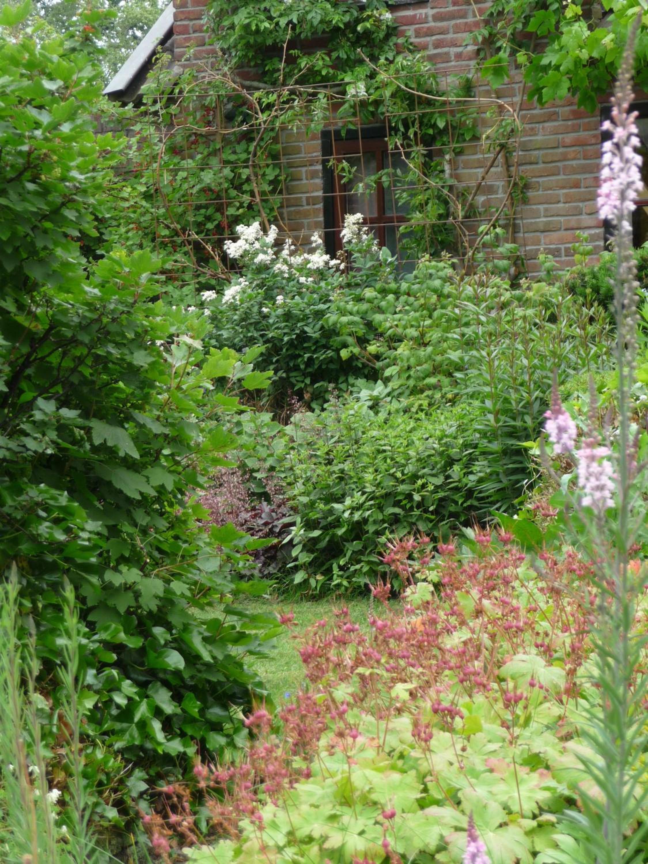 Photo 15