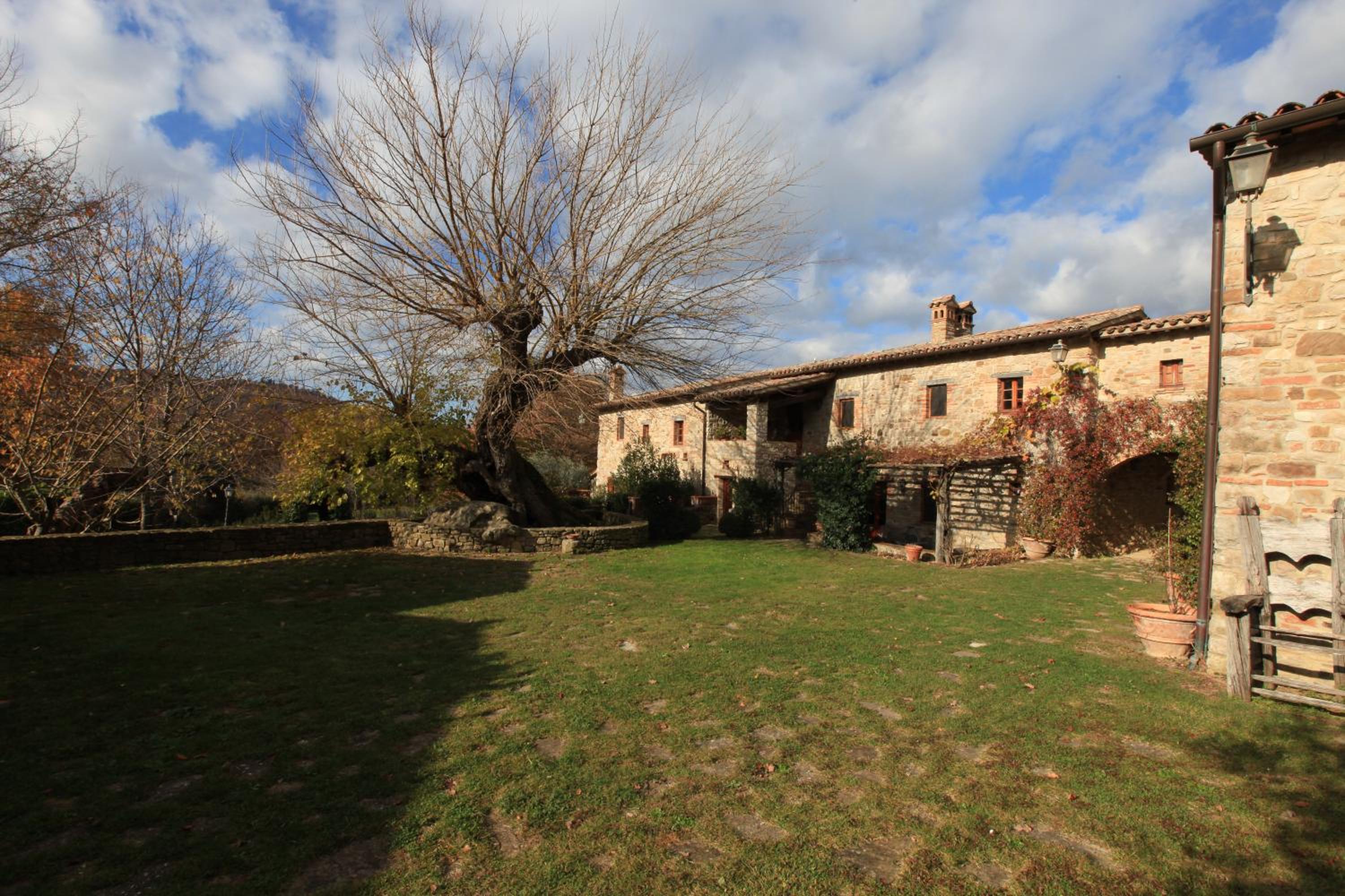 Antico Gelso en Todi