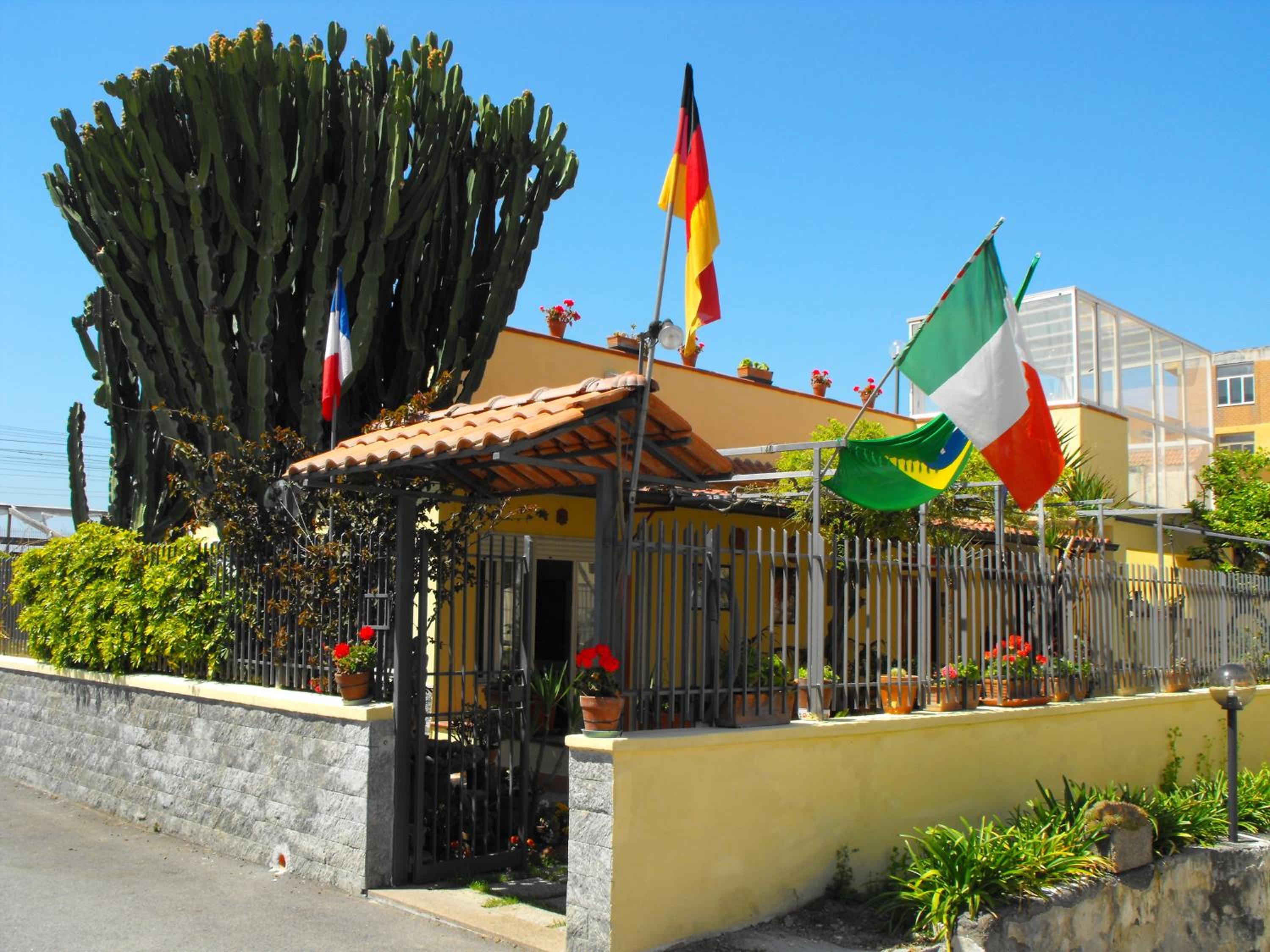 Photo 8