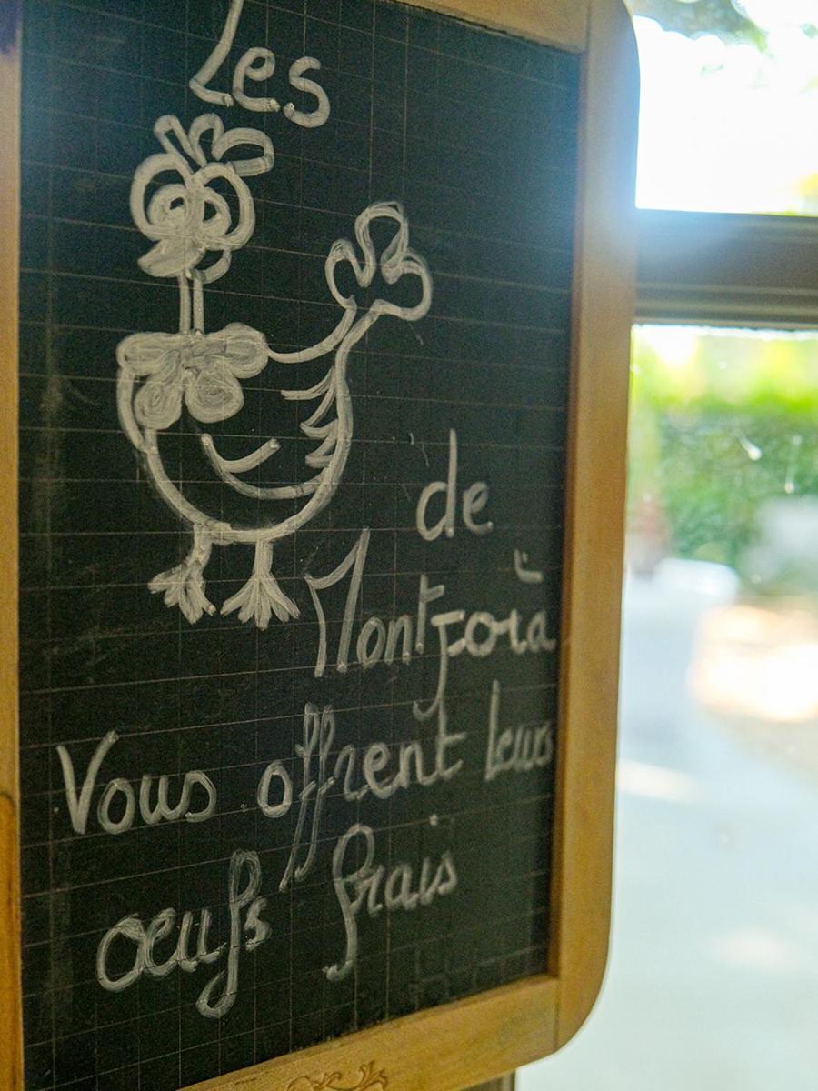 Montjoia view 5