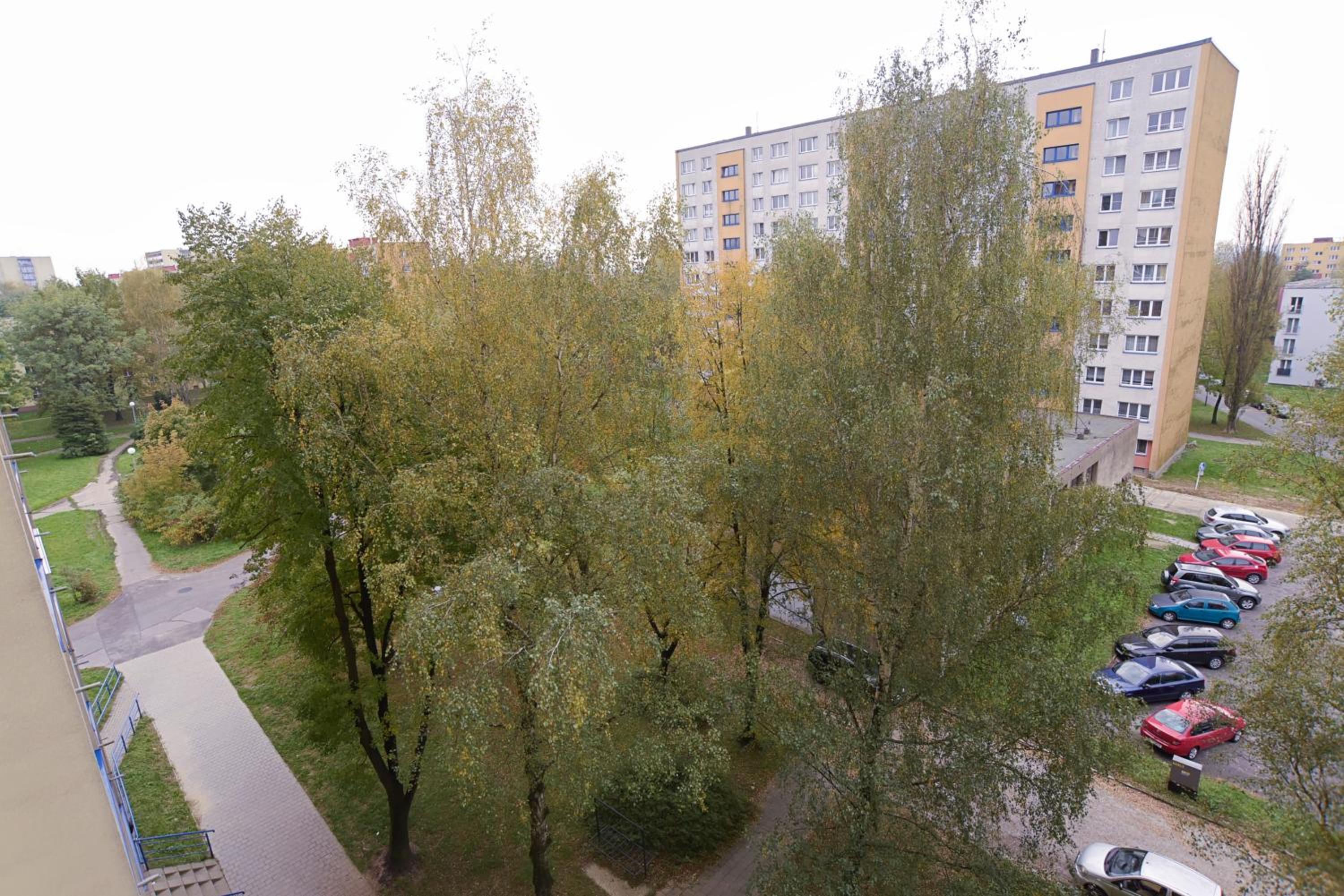 Photo 58