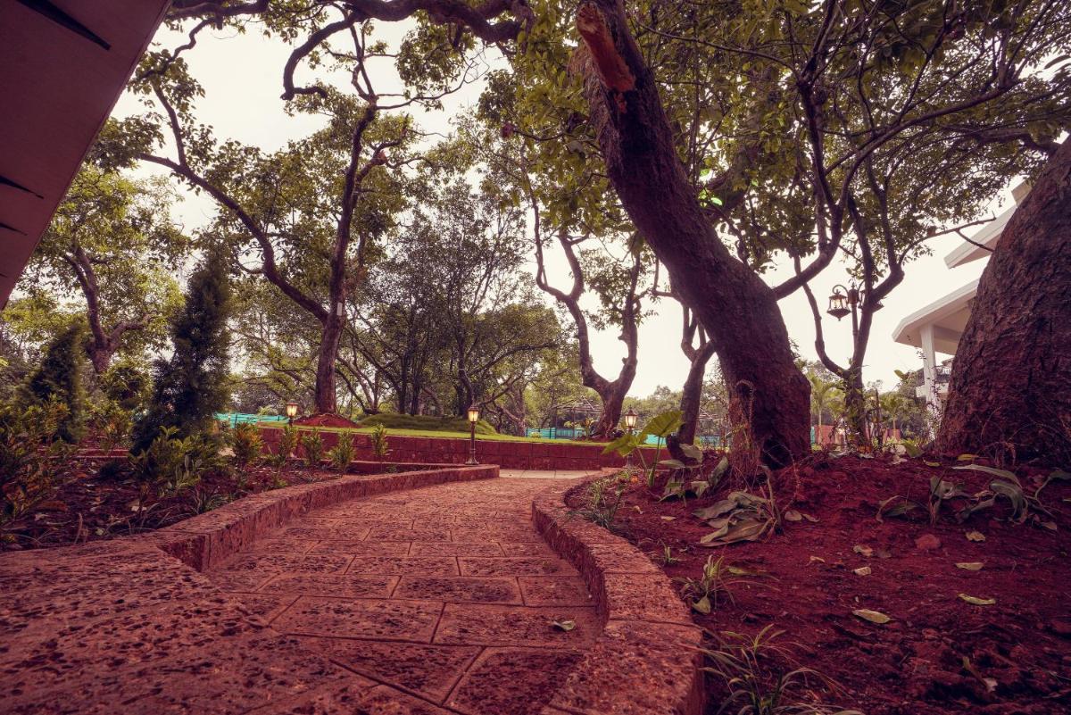 children's play area