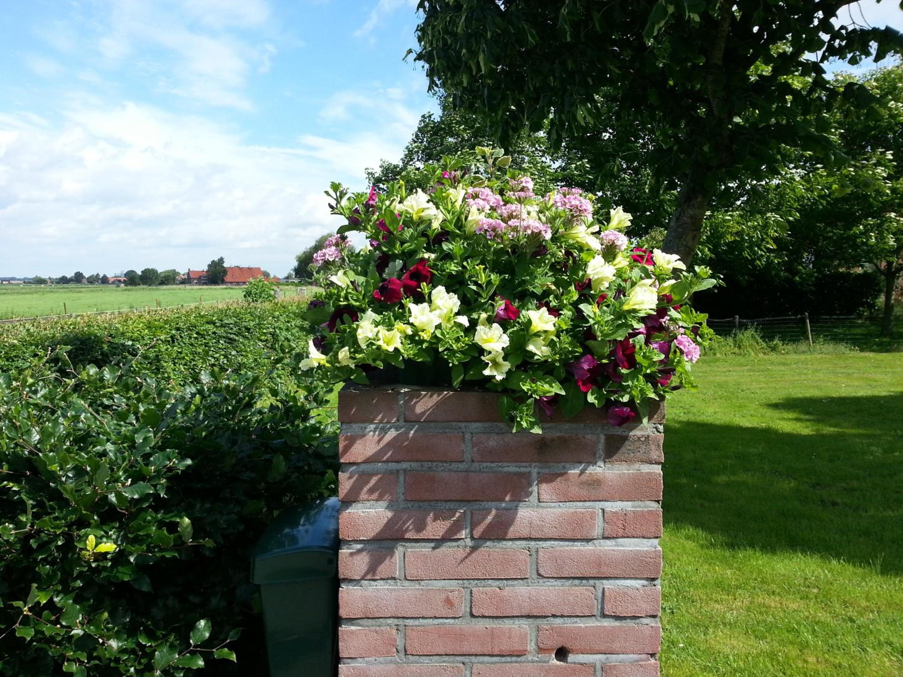 B&B de Rivierduin, photo 12