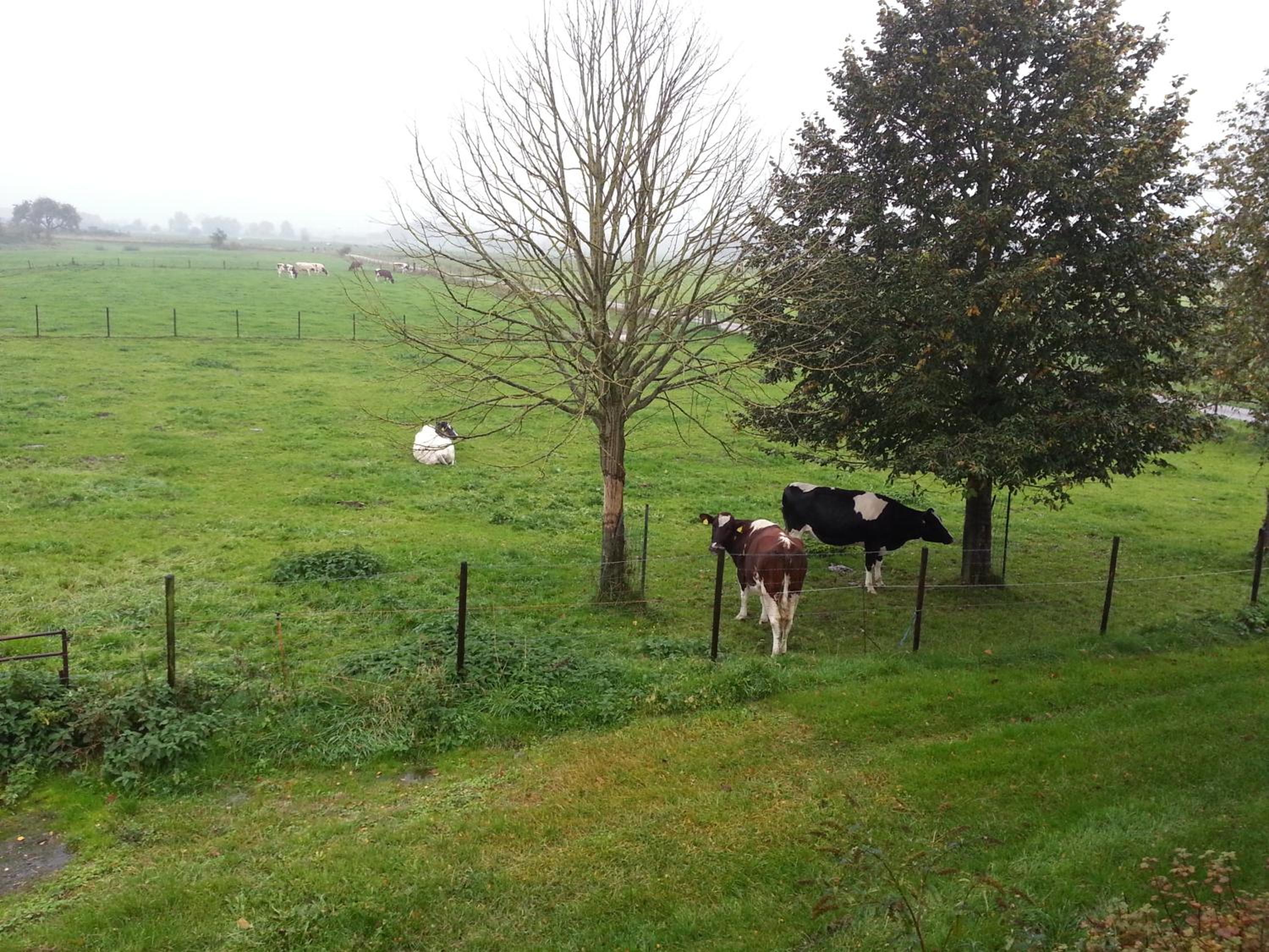 B&B de Rivierduin