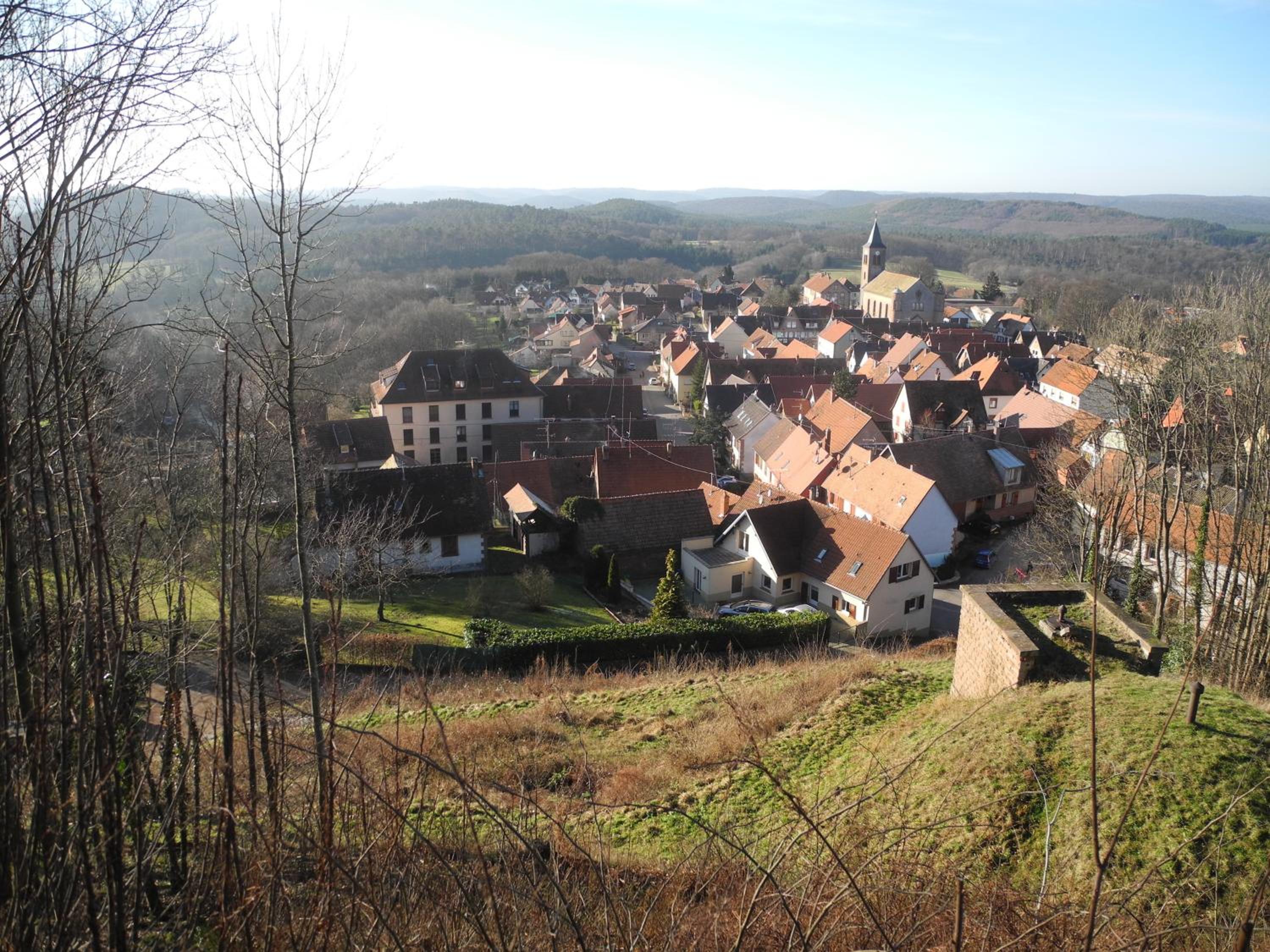 Photo 12