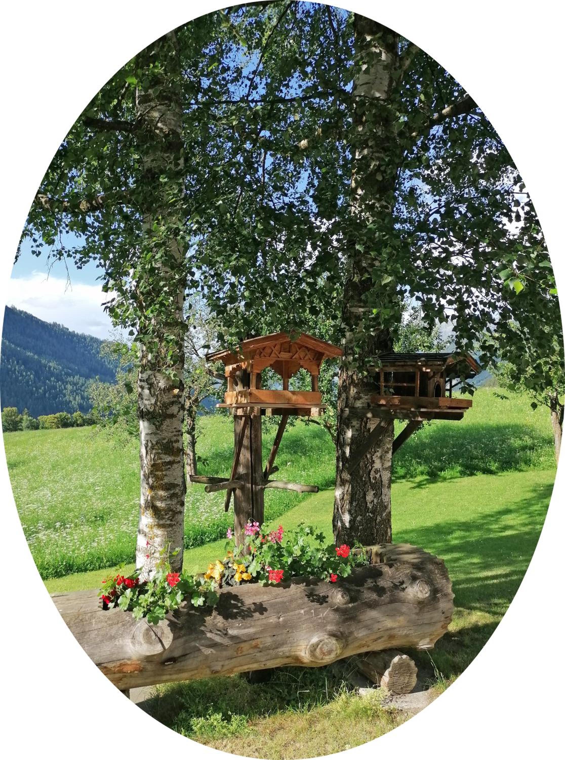 Haus zur Mühle view 2