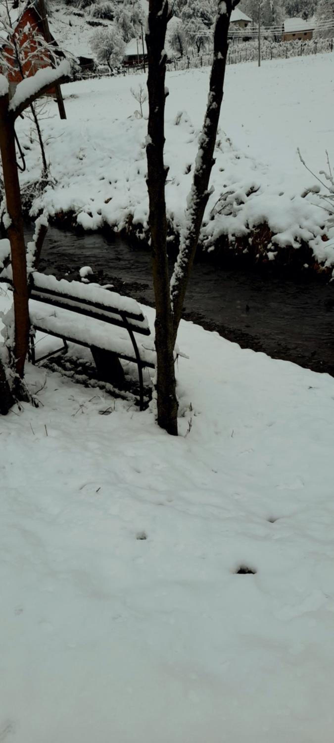 Photo 39