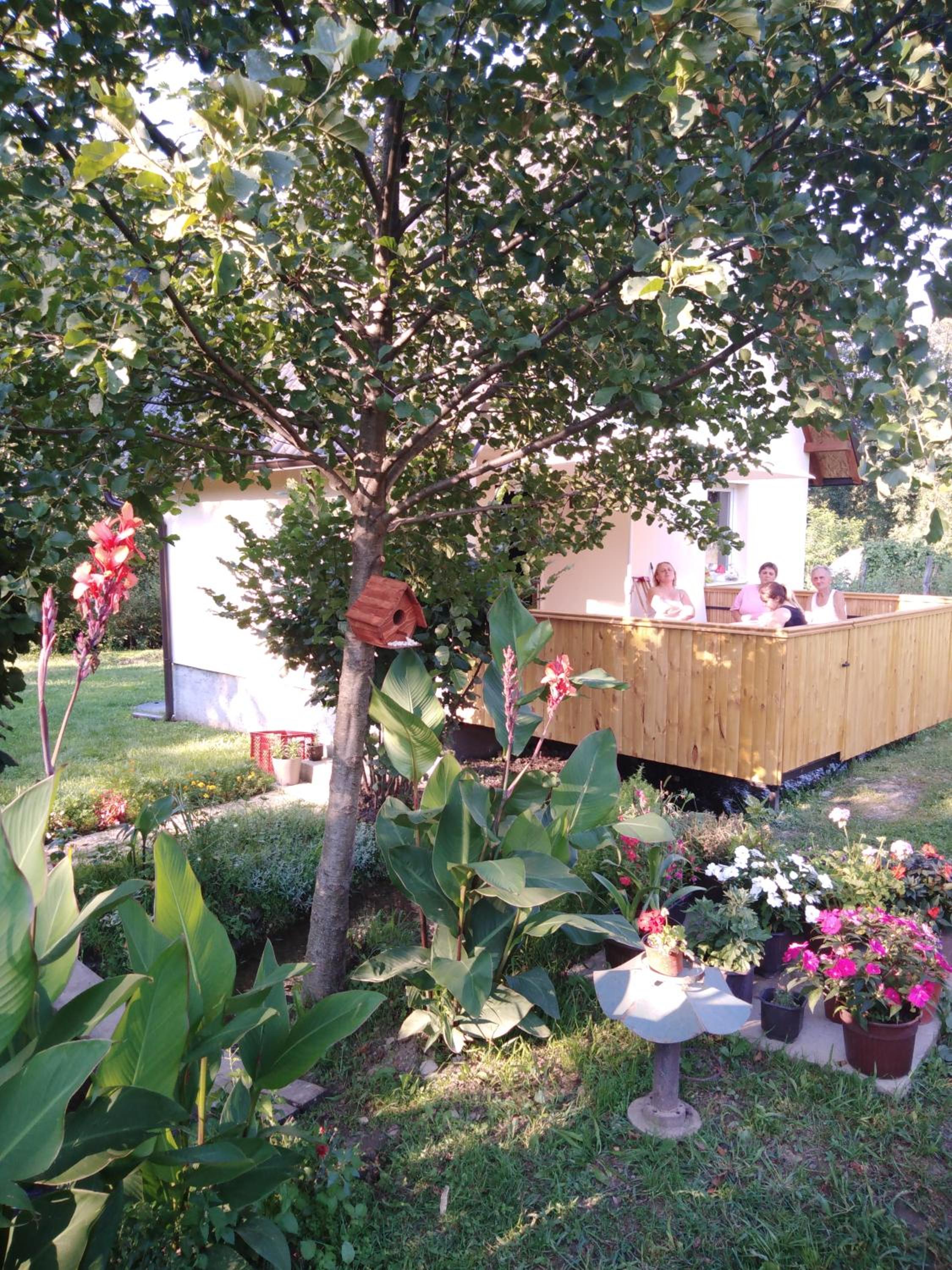 Photo 26