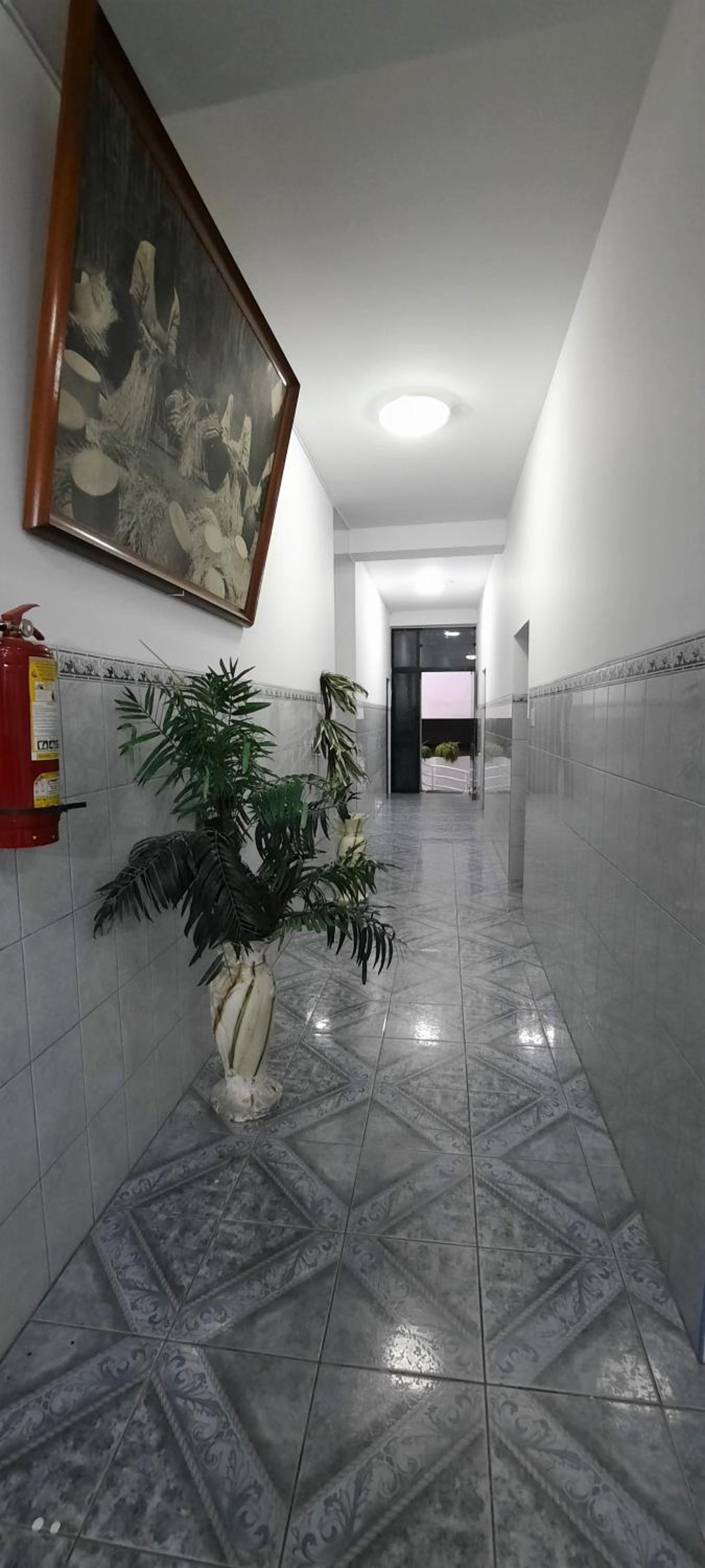 Hostal Las Palmeras view 5