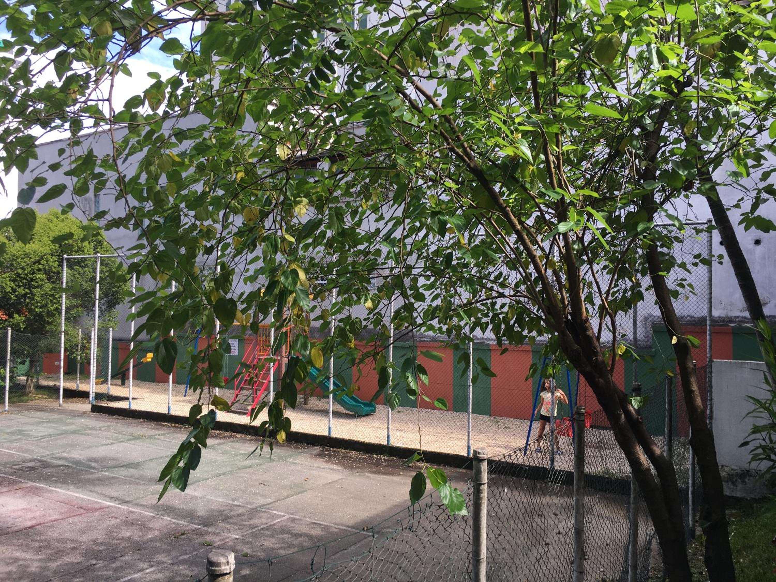 Photo 16
