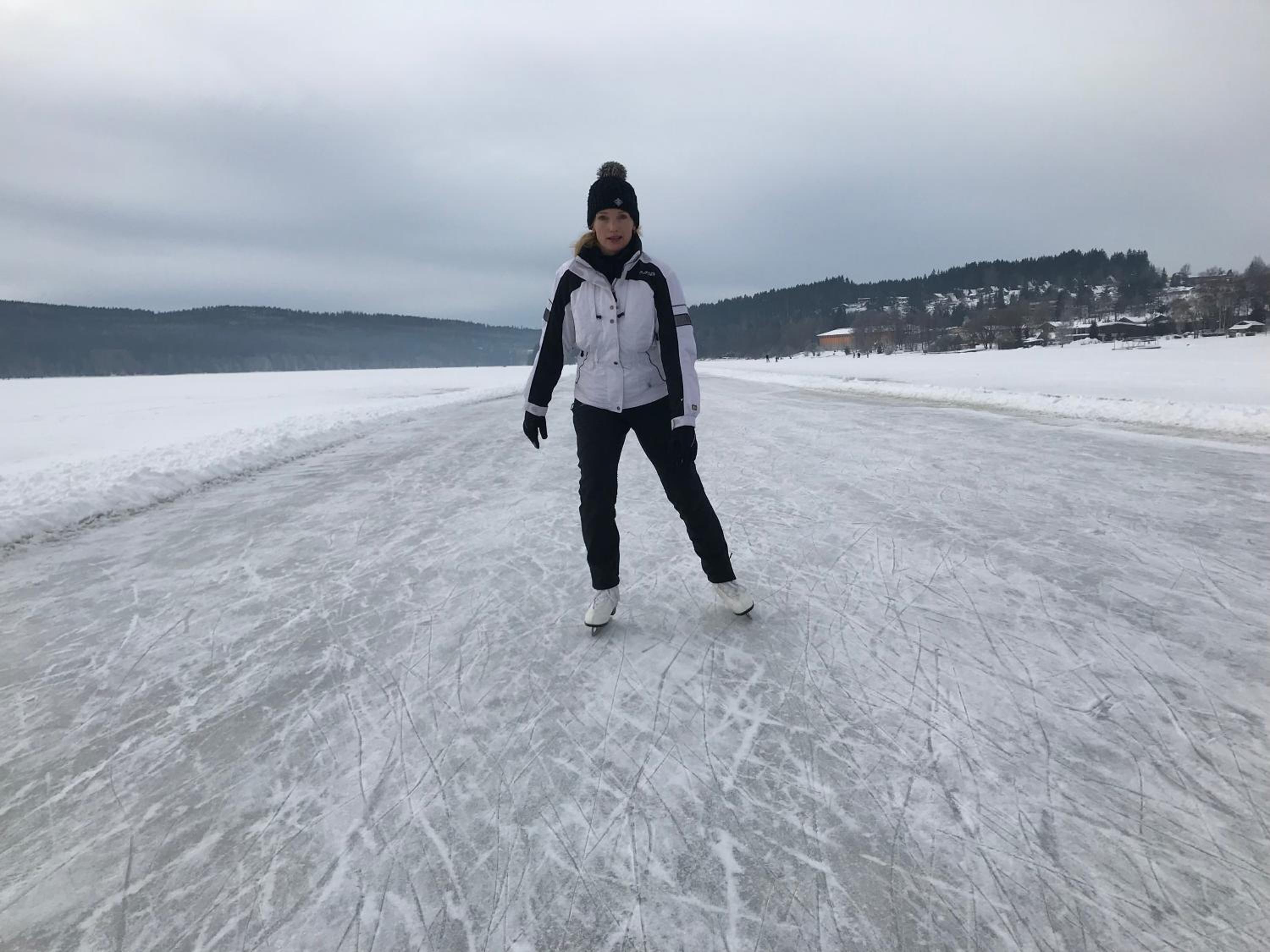 Rekreační domek Kobylnice Lipno