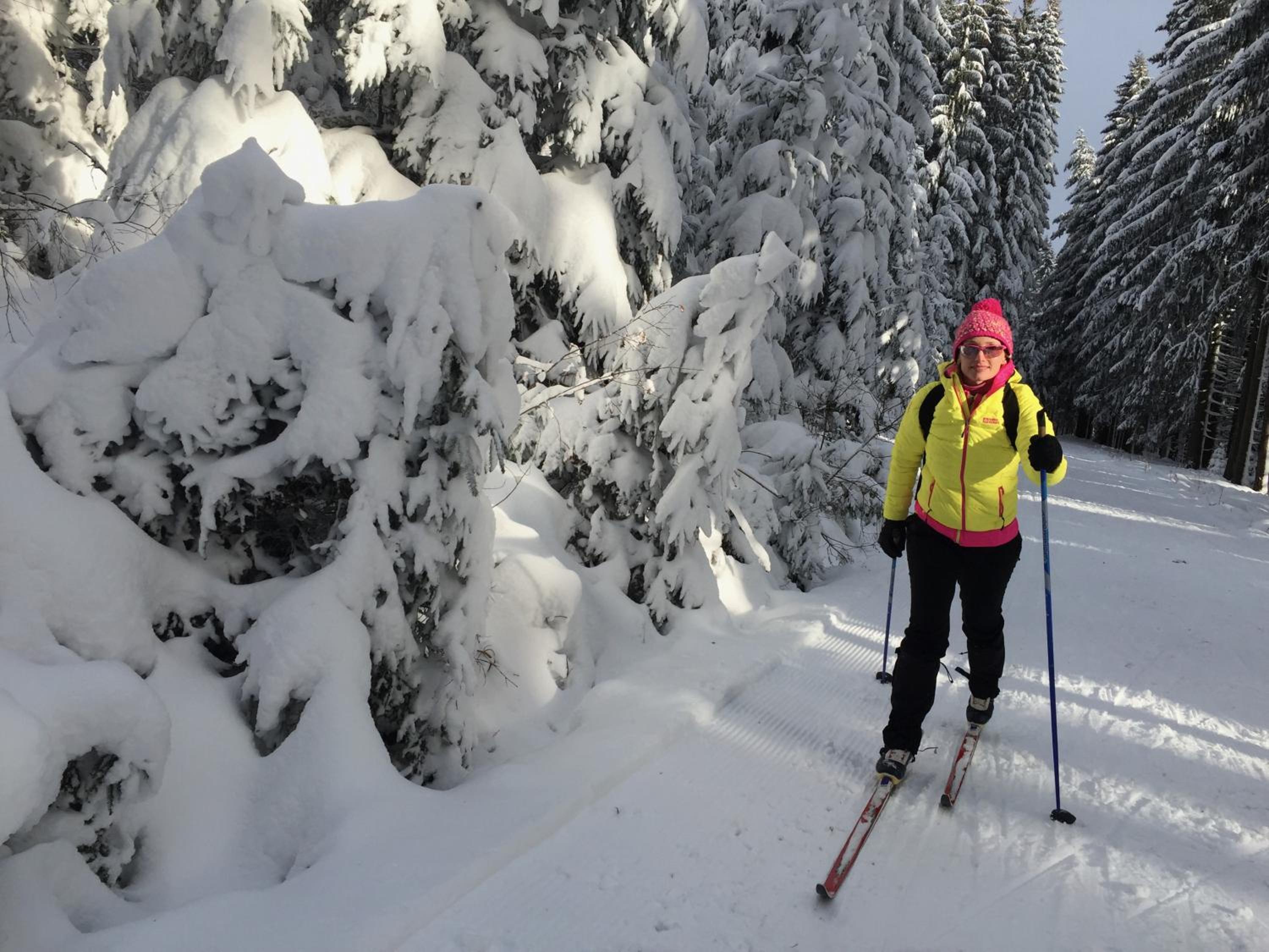 Rekreační domek Kobylnice Lipno