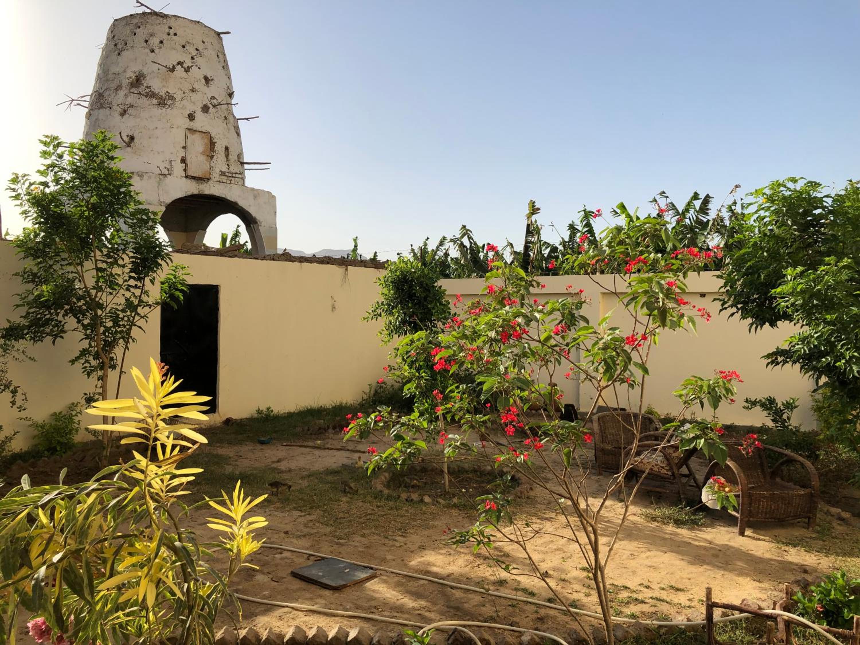 Elsanosy Family Guest House - Luxor view 5