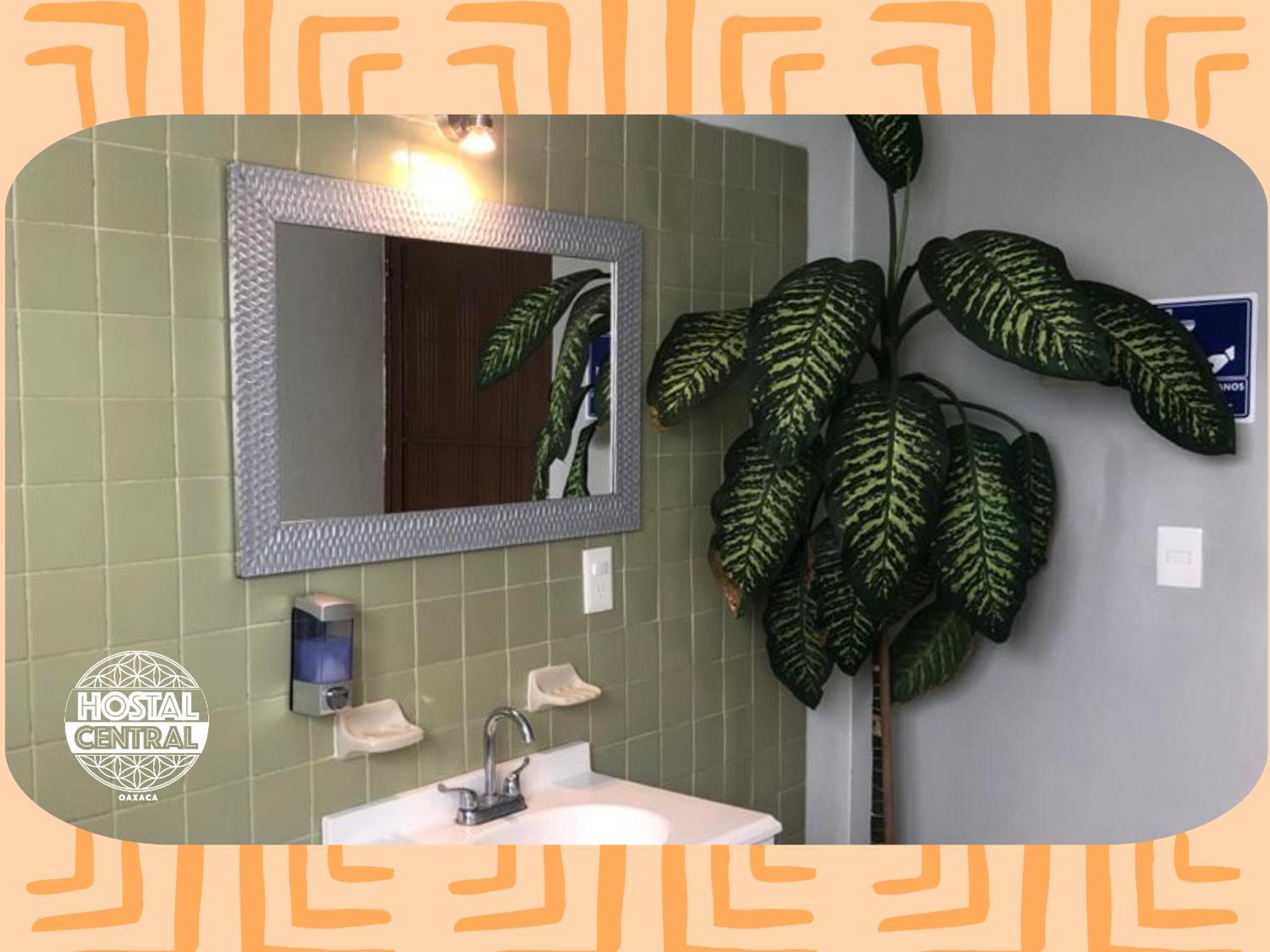 Hostal Central Oaxaca - Property Image 14