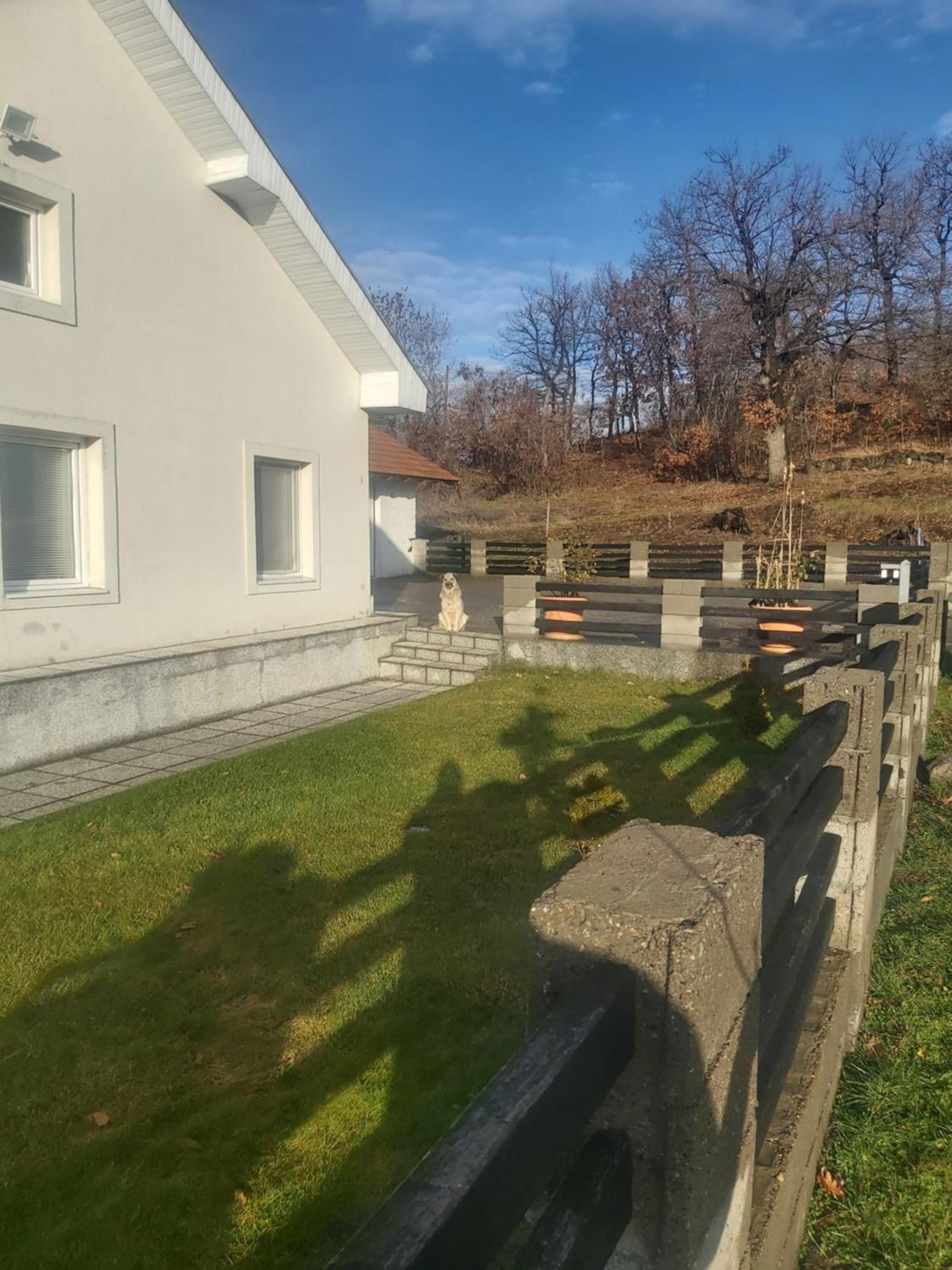 Photo 46