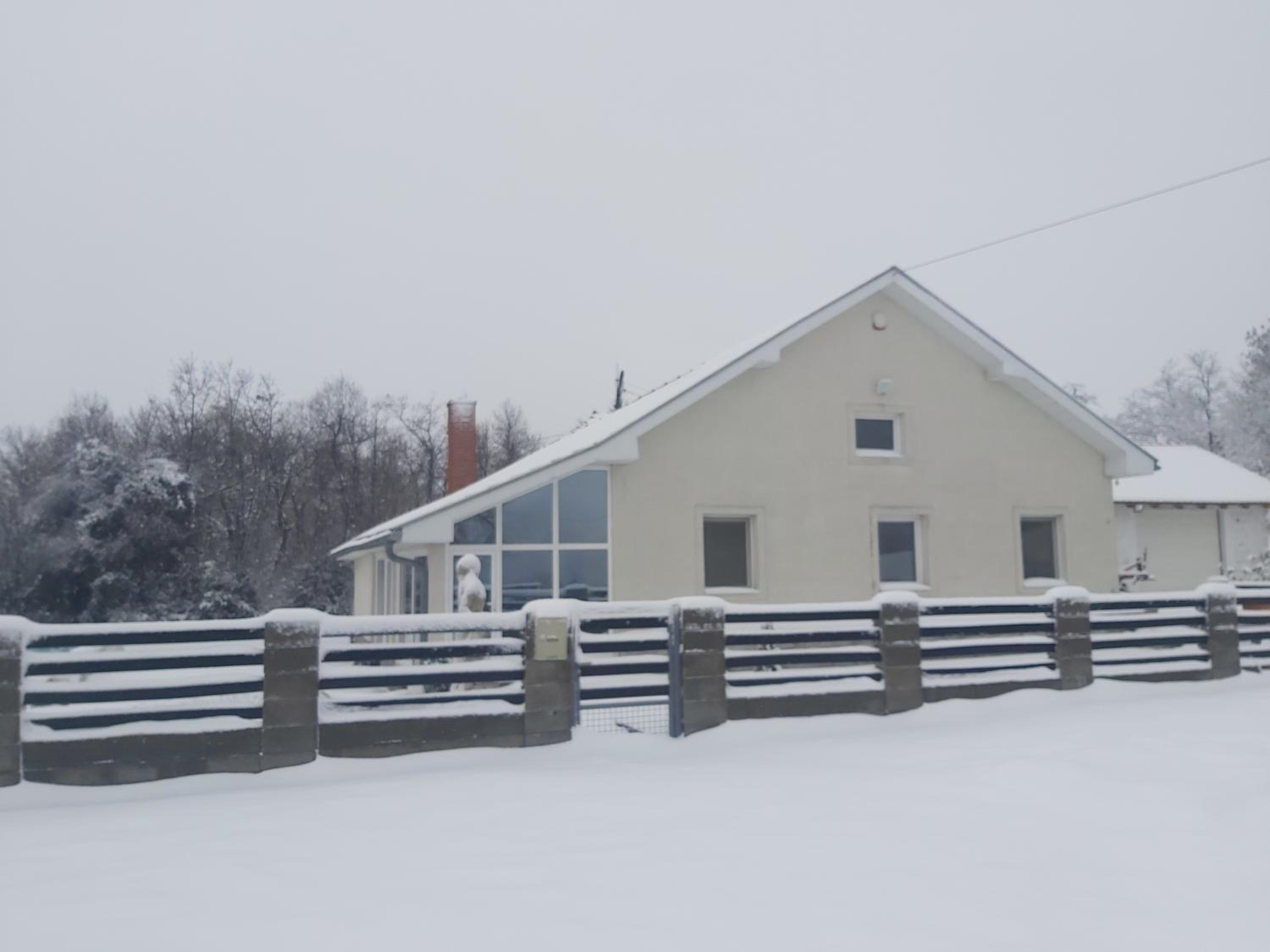 Photo 45