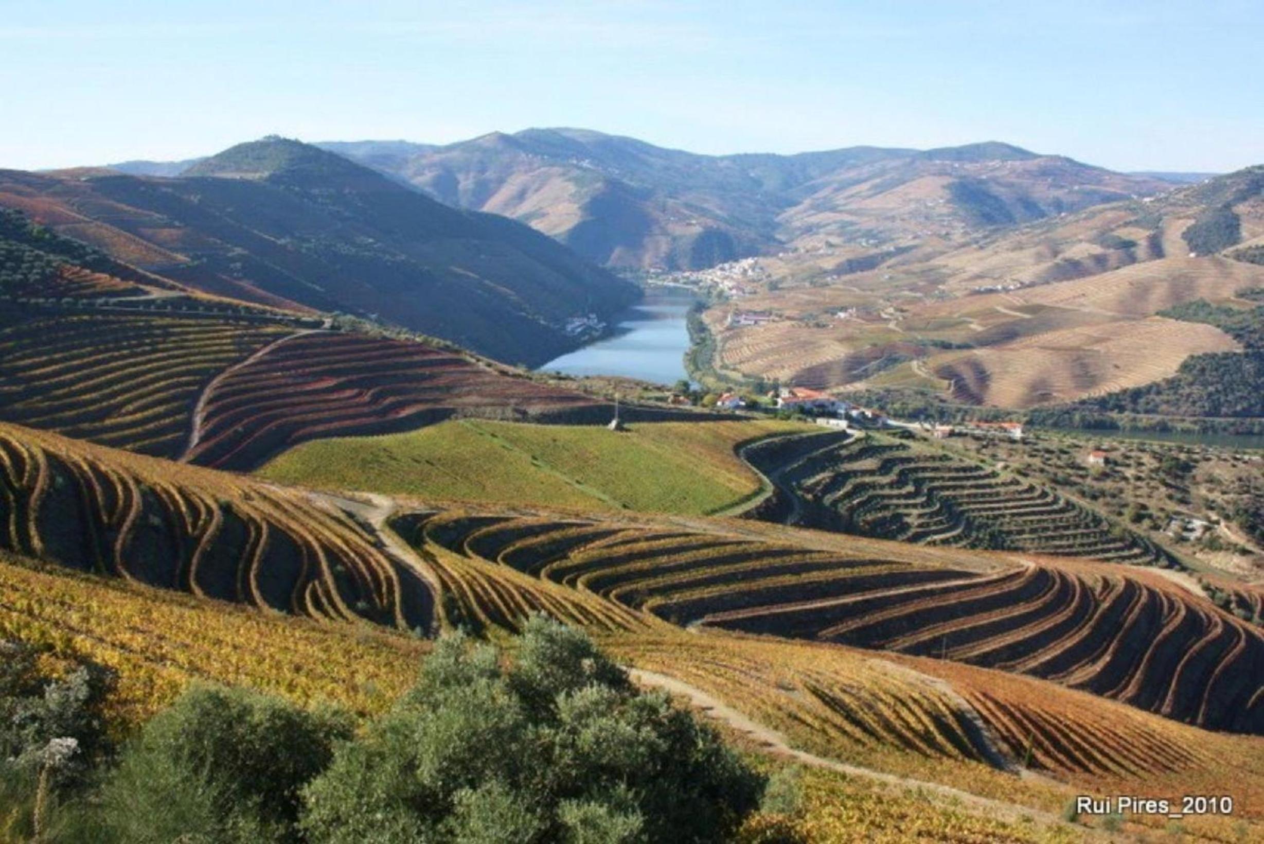 Douro House