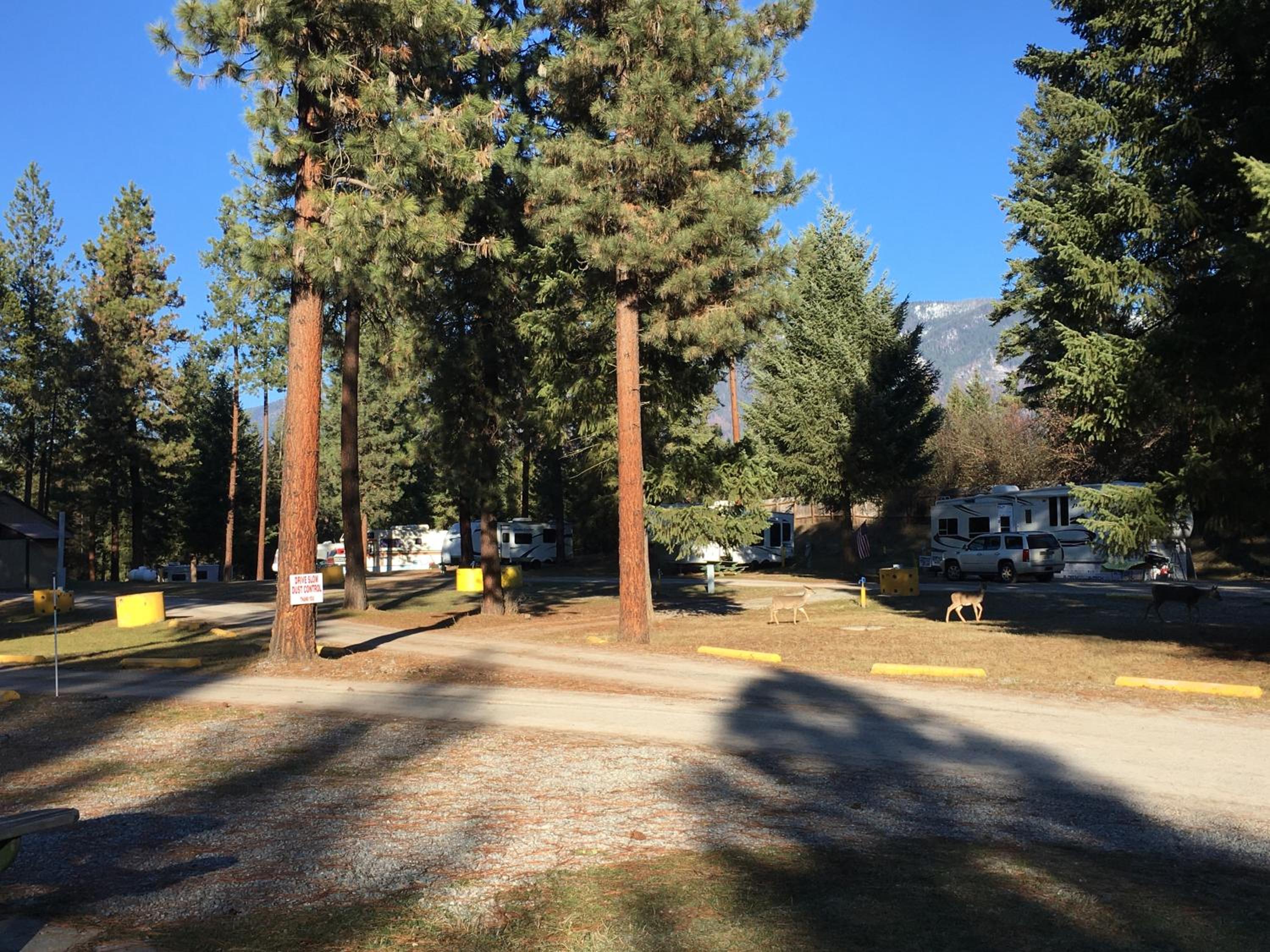 Rimrock Lodge LLC view 3