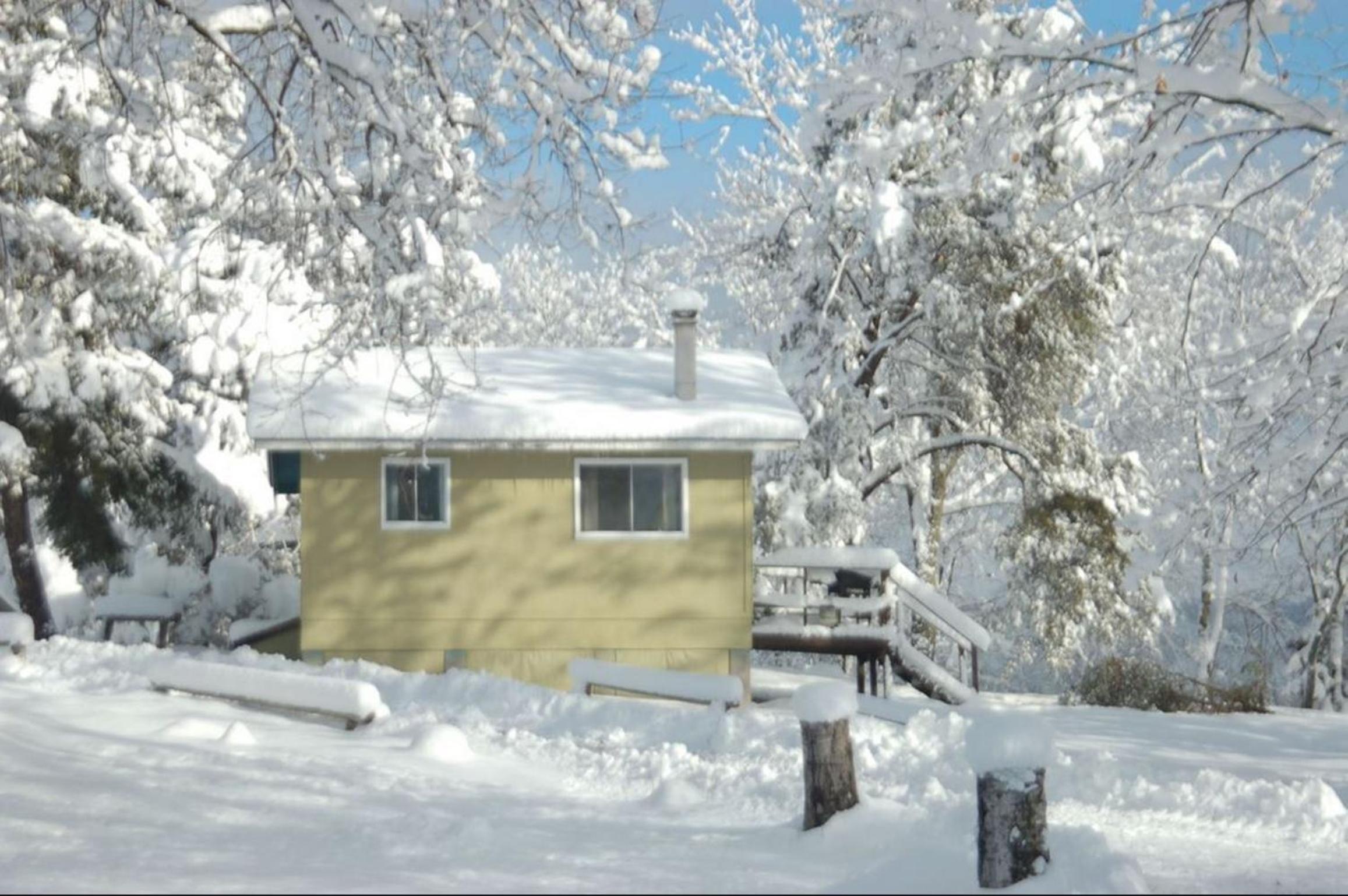 Muskoka Shores Cottages