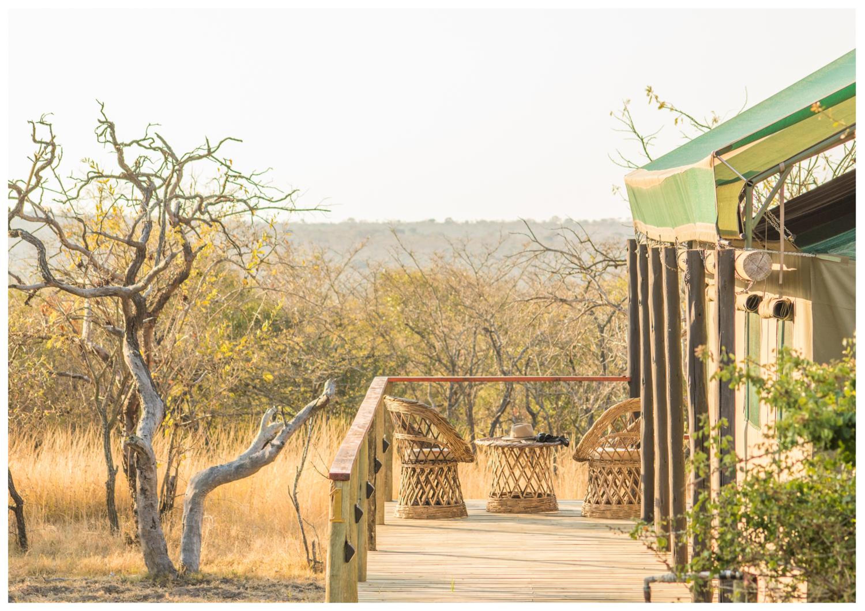 Timbavati Safari Lodge view 5