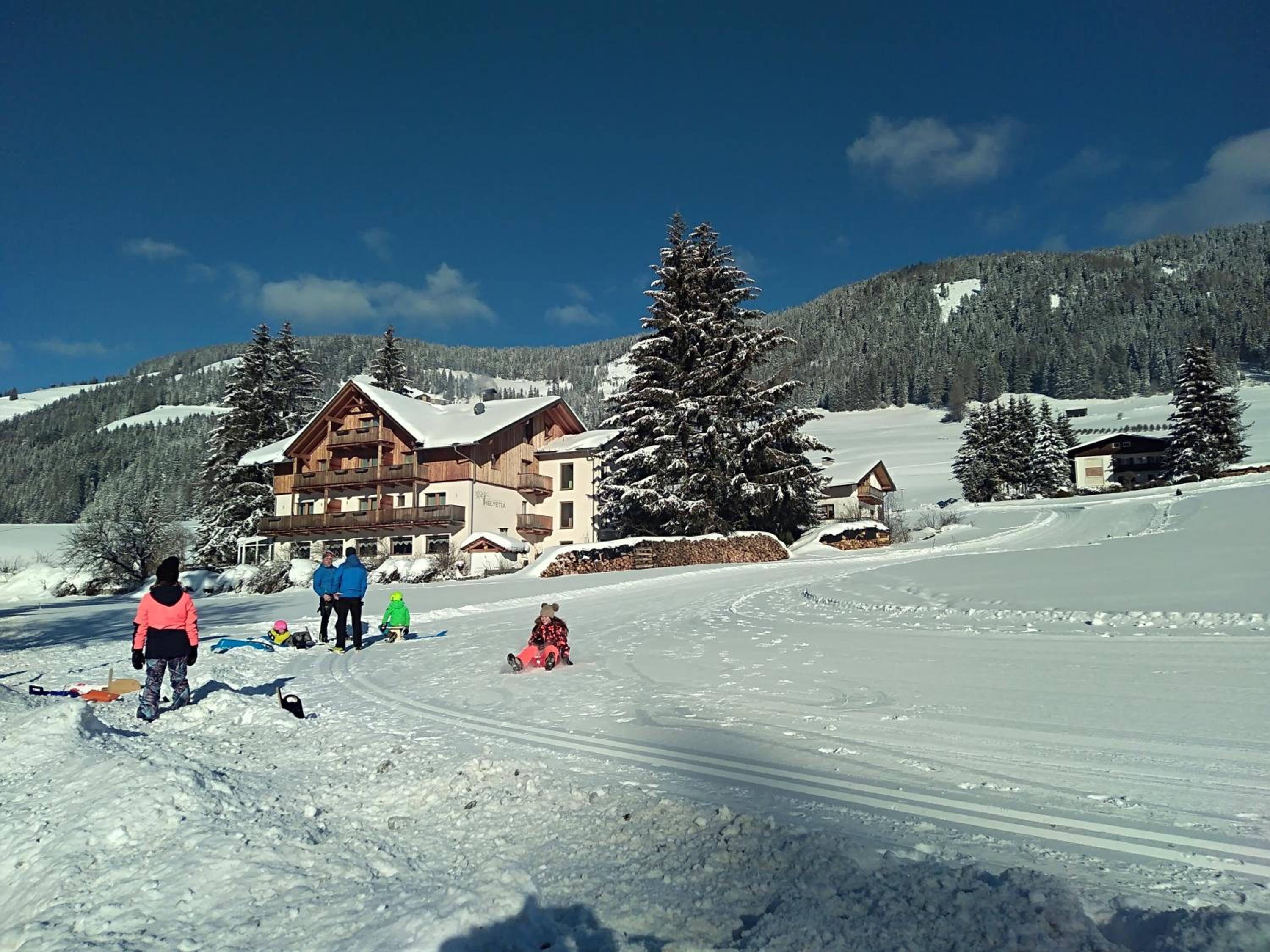 Appartments Helvetia photo 4