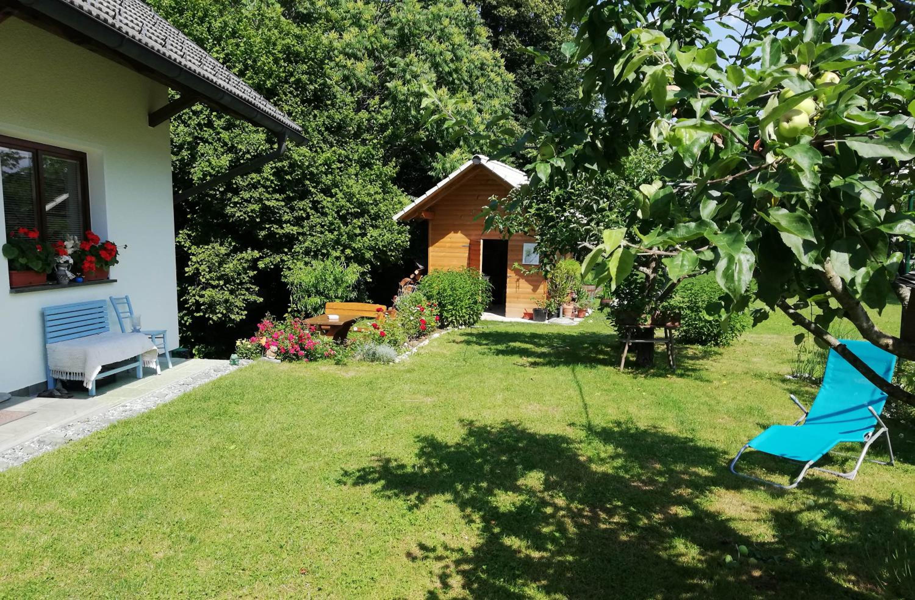 Photo 22