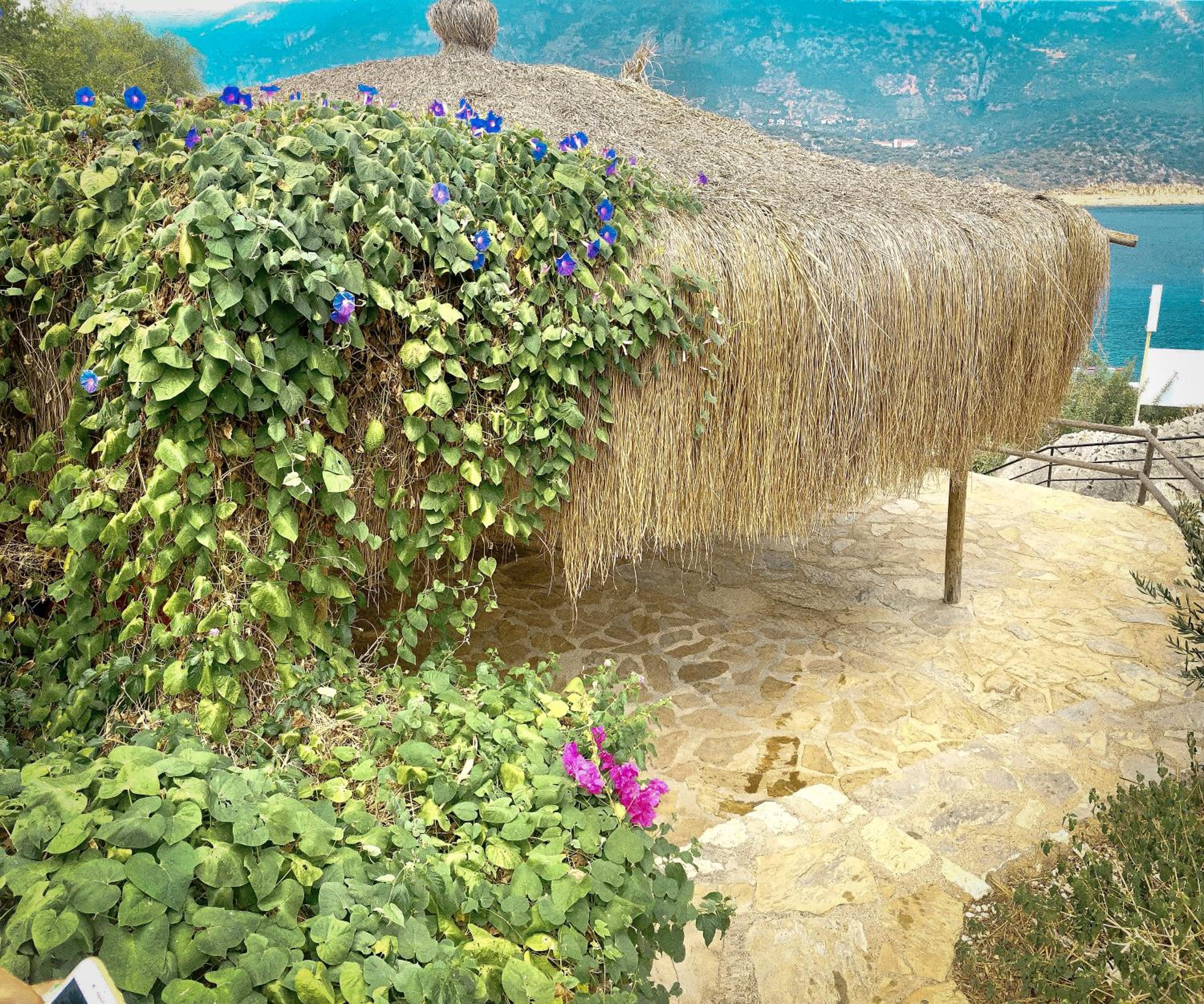 Club Hotel Barbarossa - Image 73