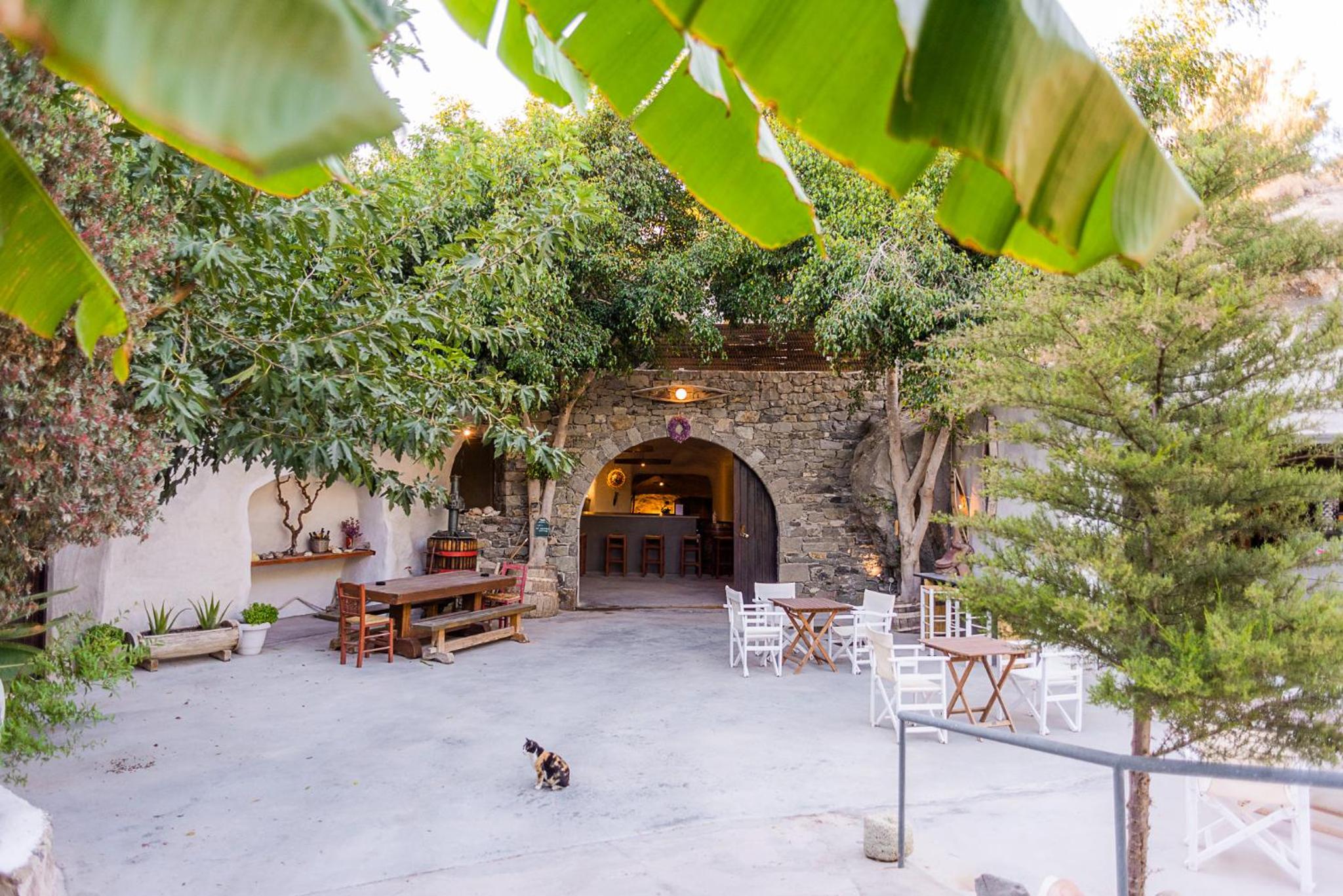 Kostantakis Winery Estate