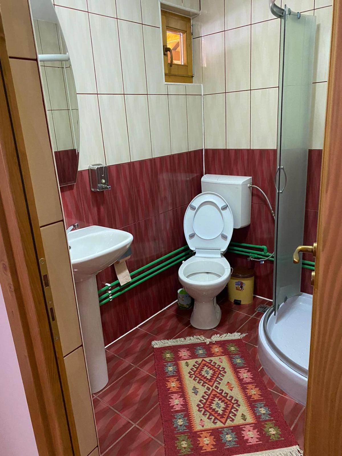 Camere de închiriat Floarea reginei view 4