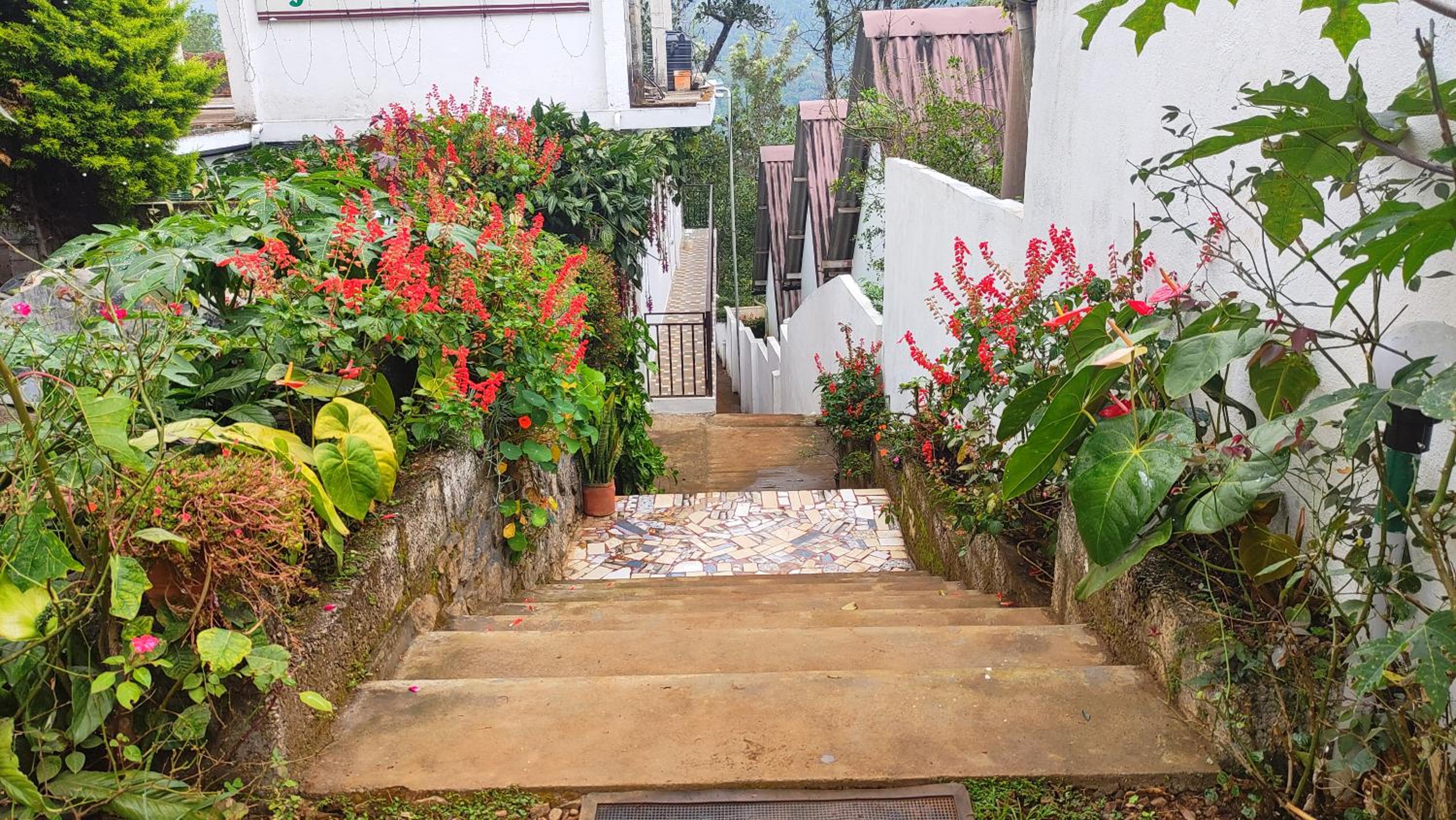 Photo 15