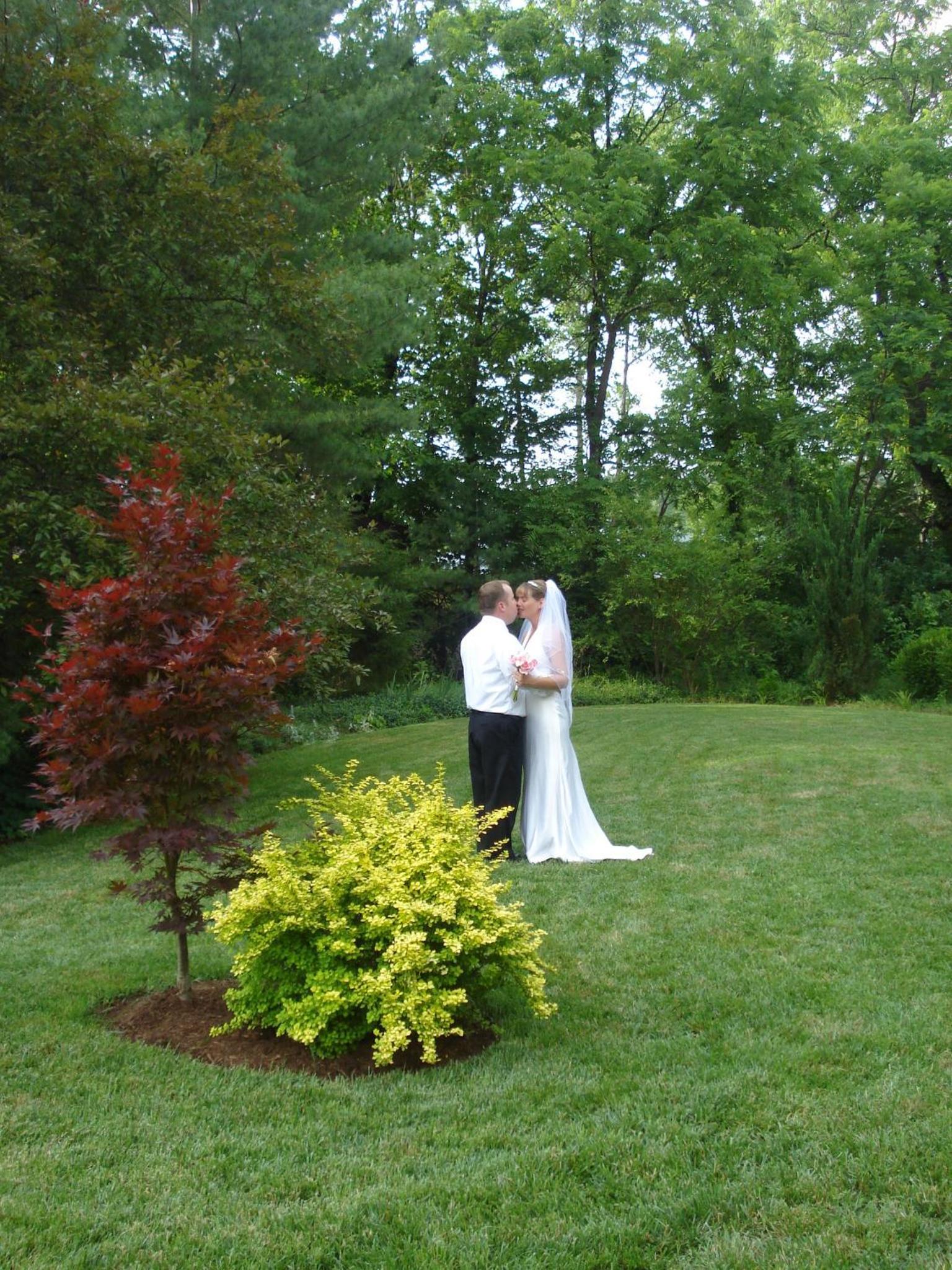 Photo 18