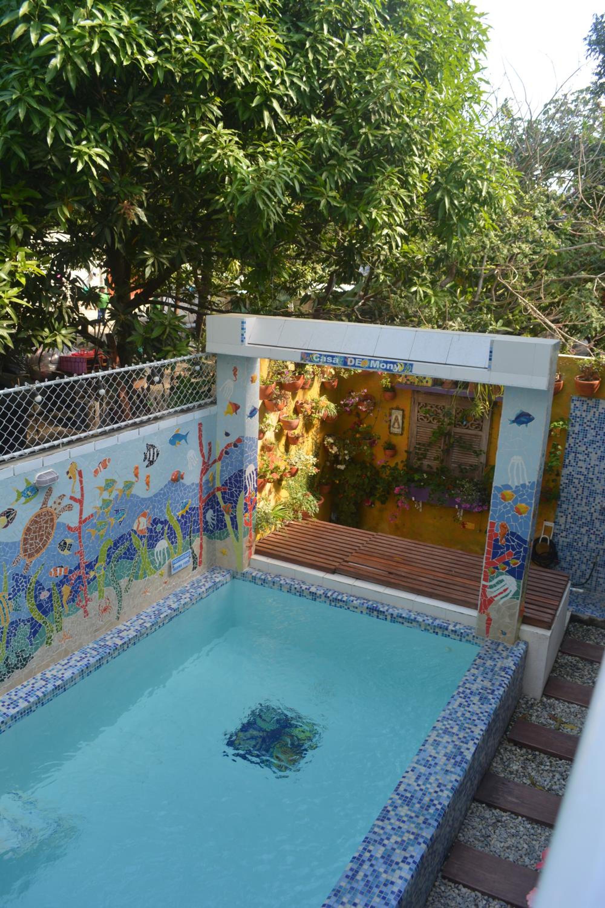 Photo 8