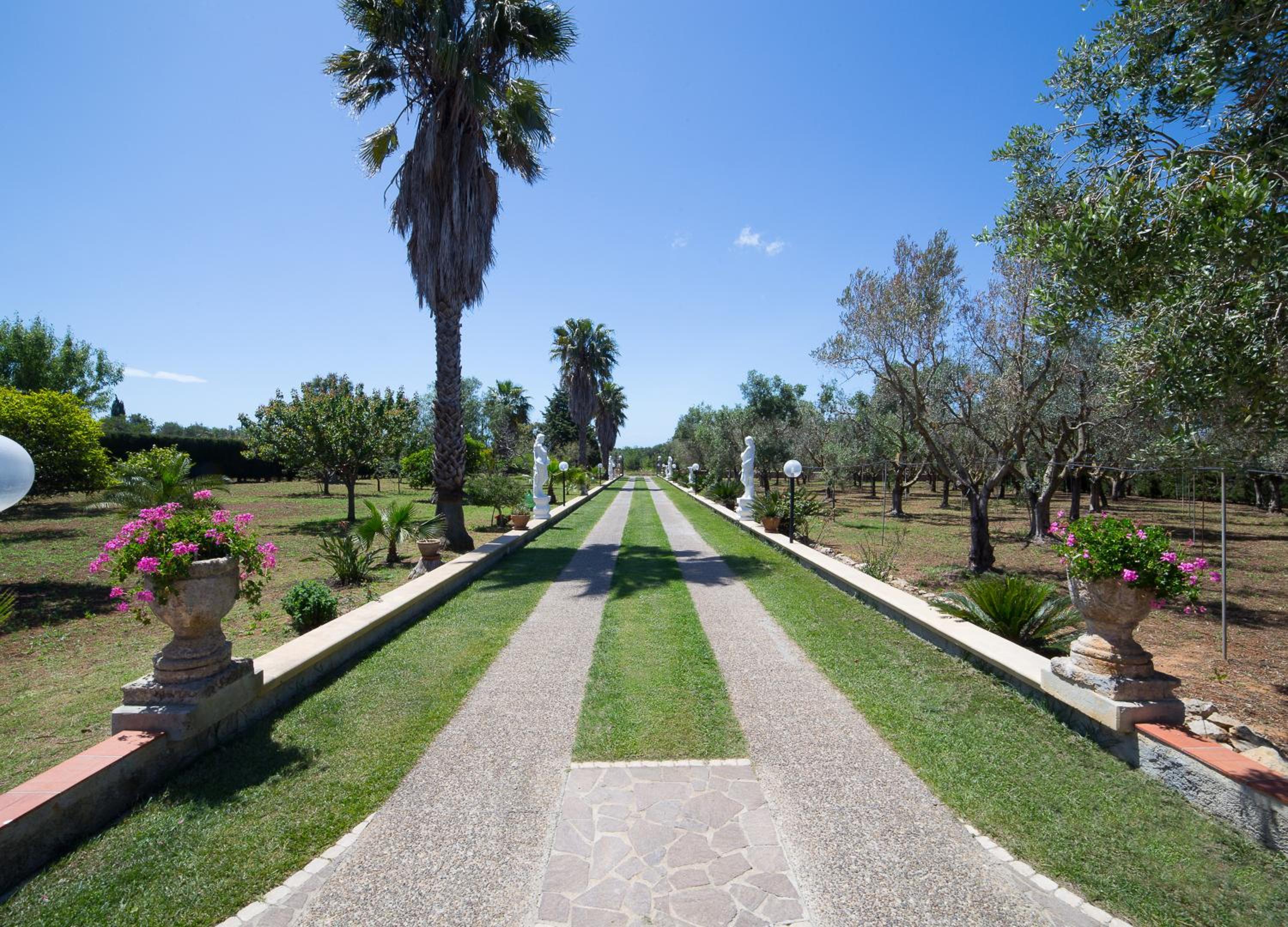 Villa dei Sogni Gallipoli -Uso Esclusivo della Villa con Piscina Privata & Giardino Exclusive Villa with Private Pool nel Salento view 5