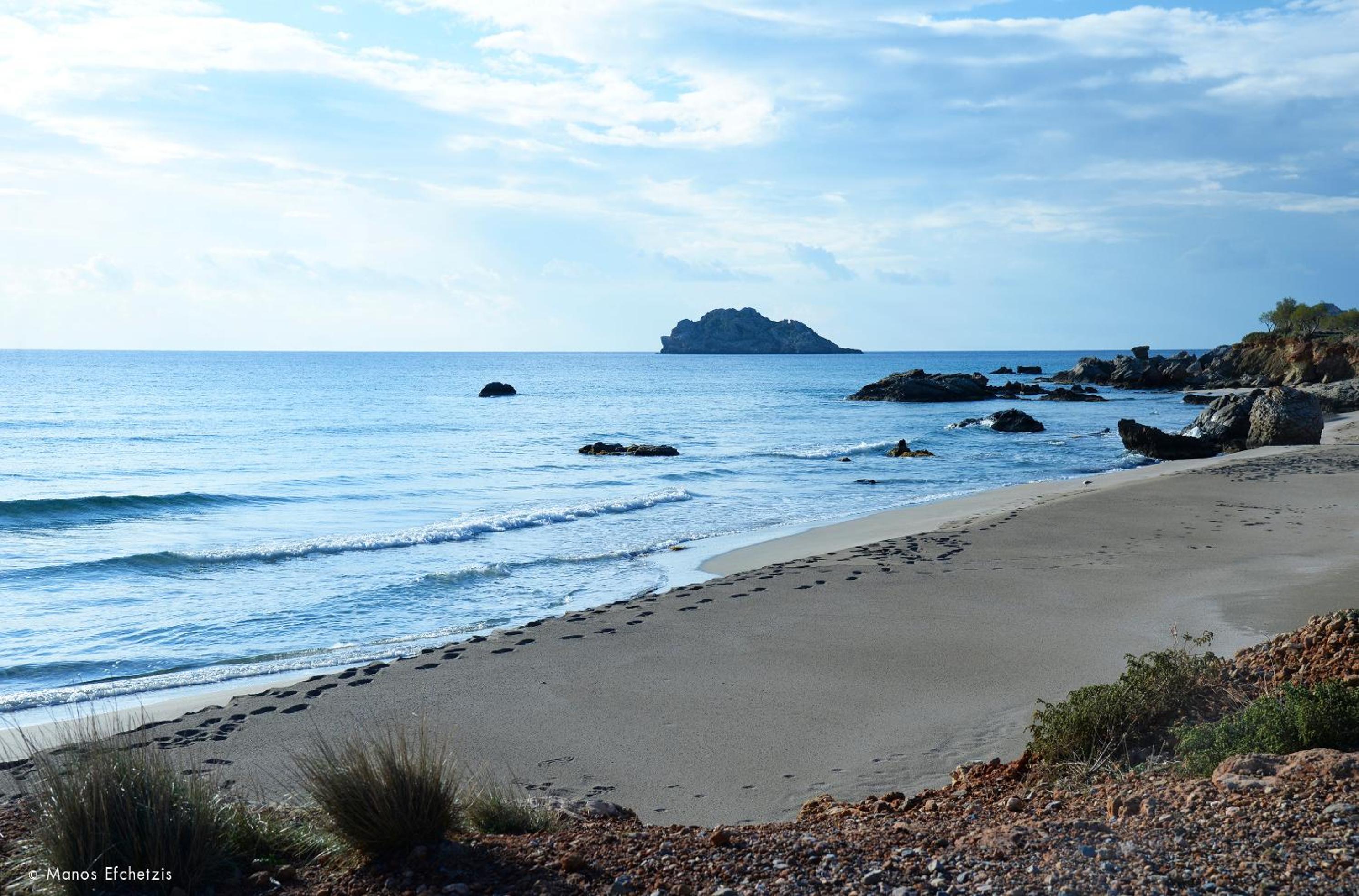 Photo 52