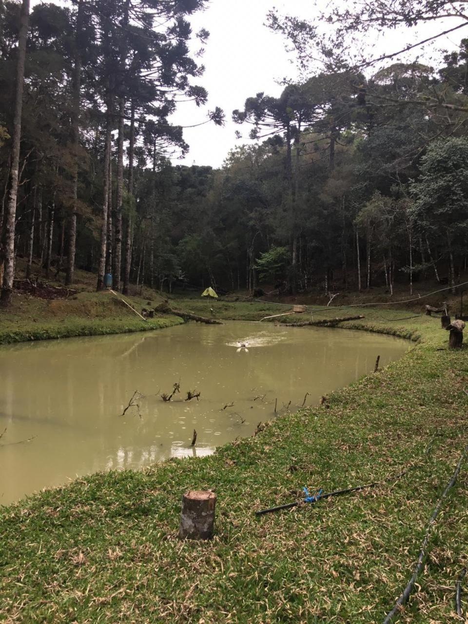 Chacara maravilhosa pertinho de Curitiba