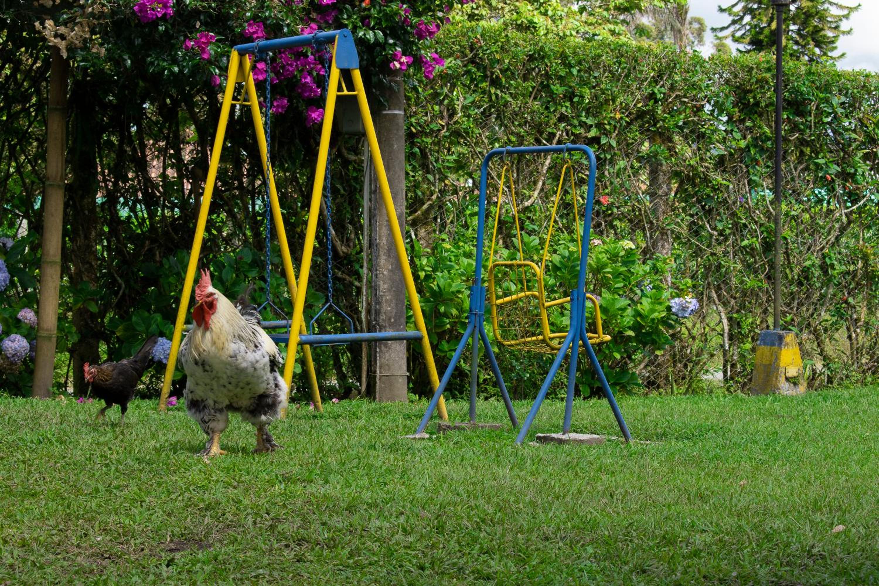 Finca El Topacio Circasia-Quindio