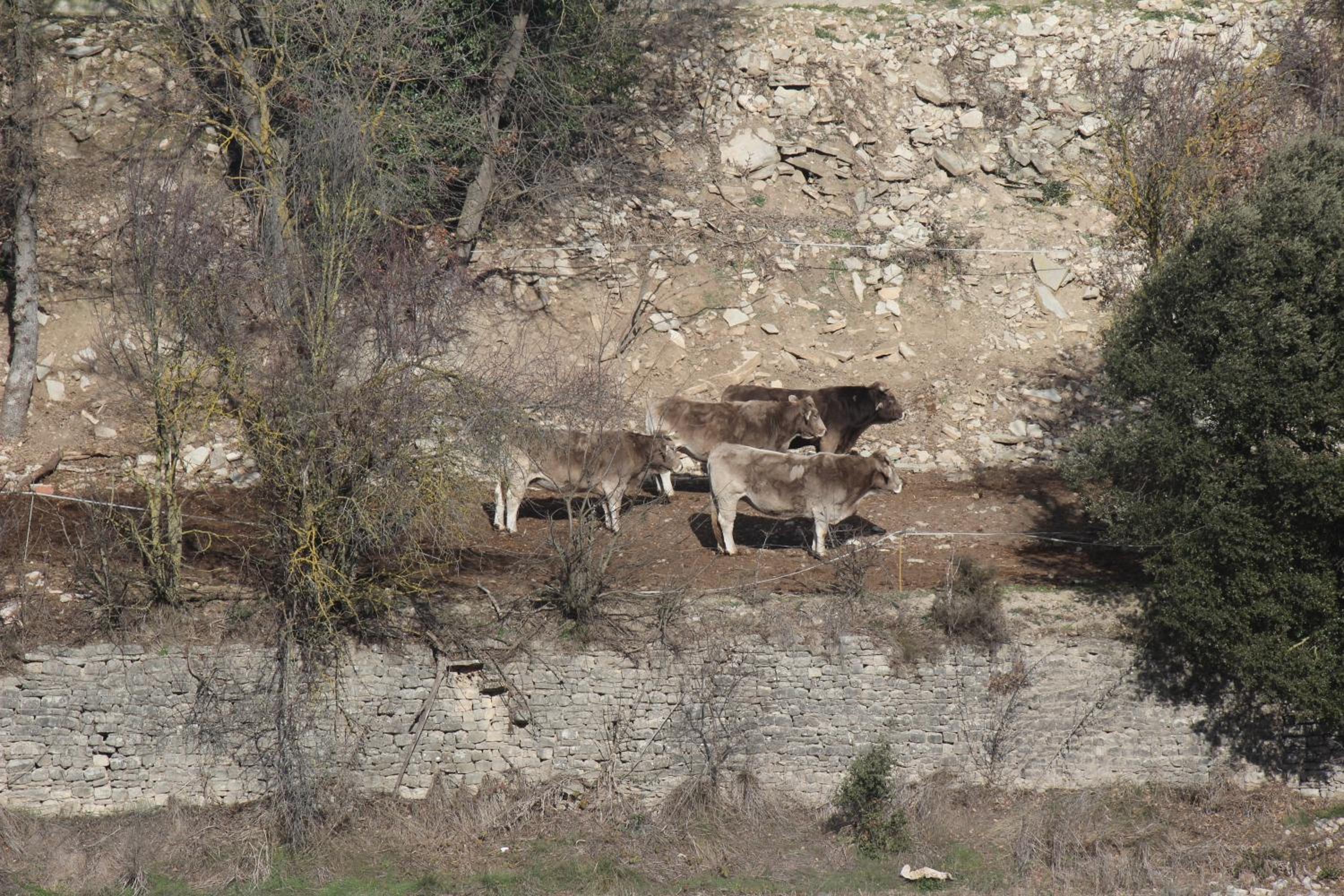 Casa Mestres