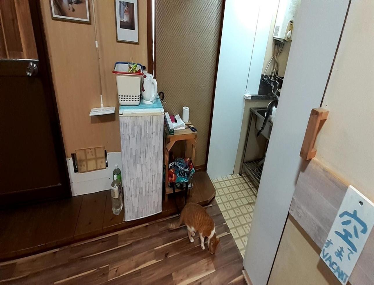 human