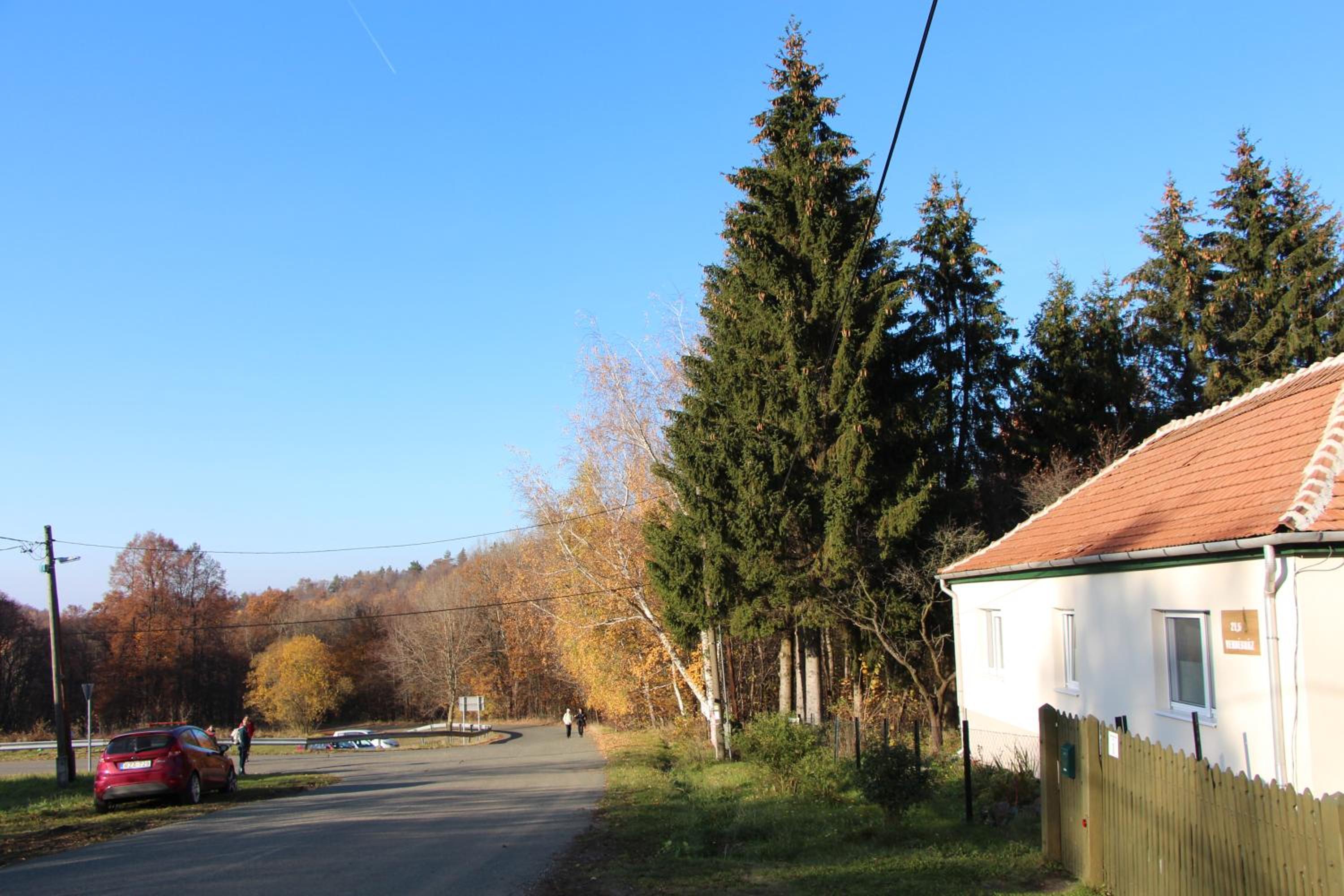 Photo 11
