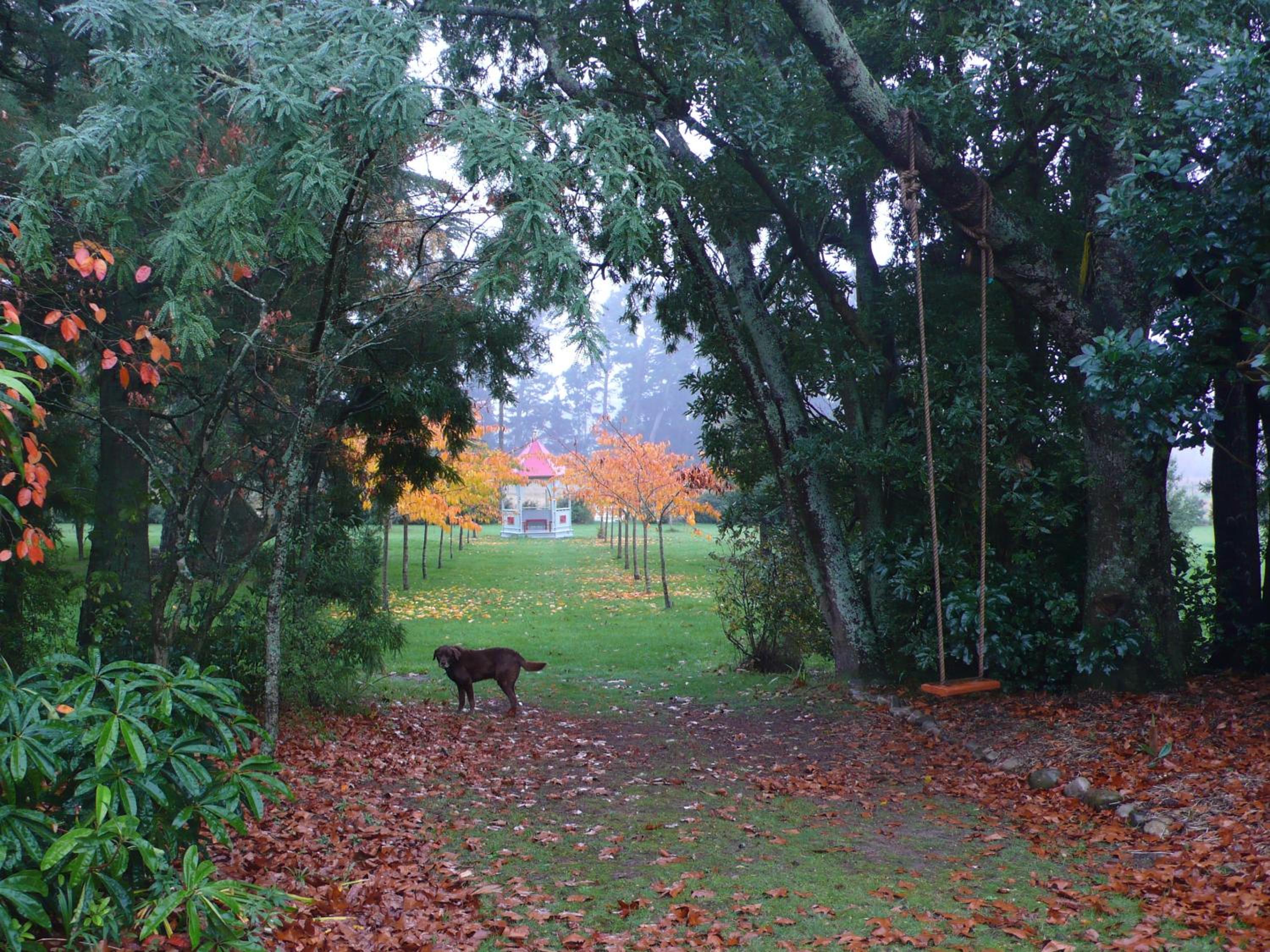 Photo 56