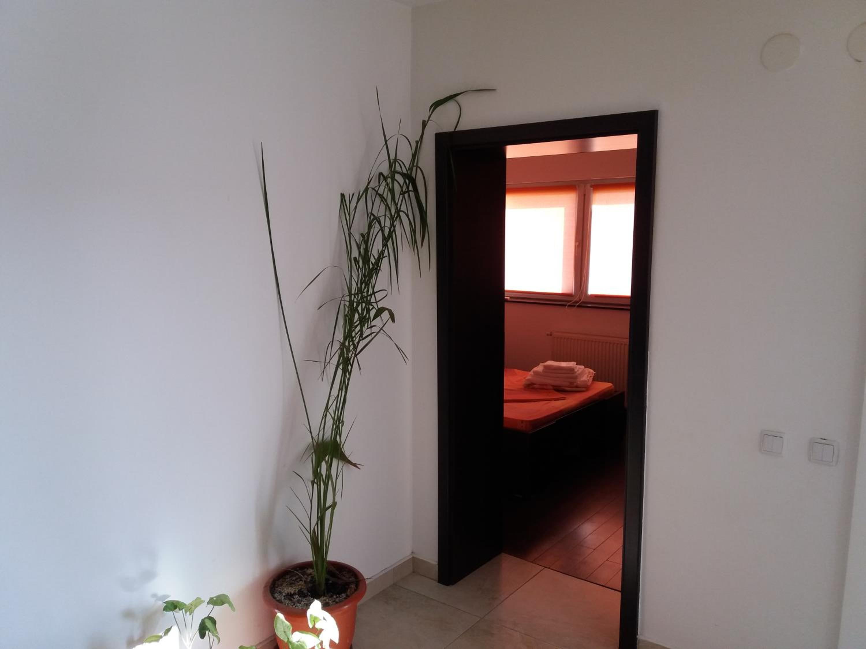 Apartament Kamino view 3