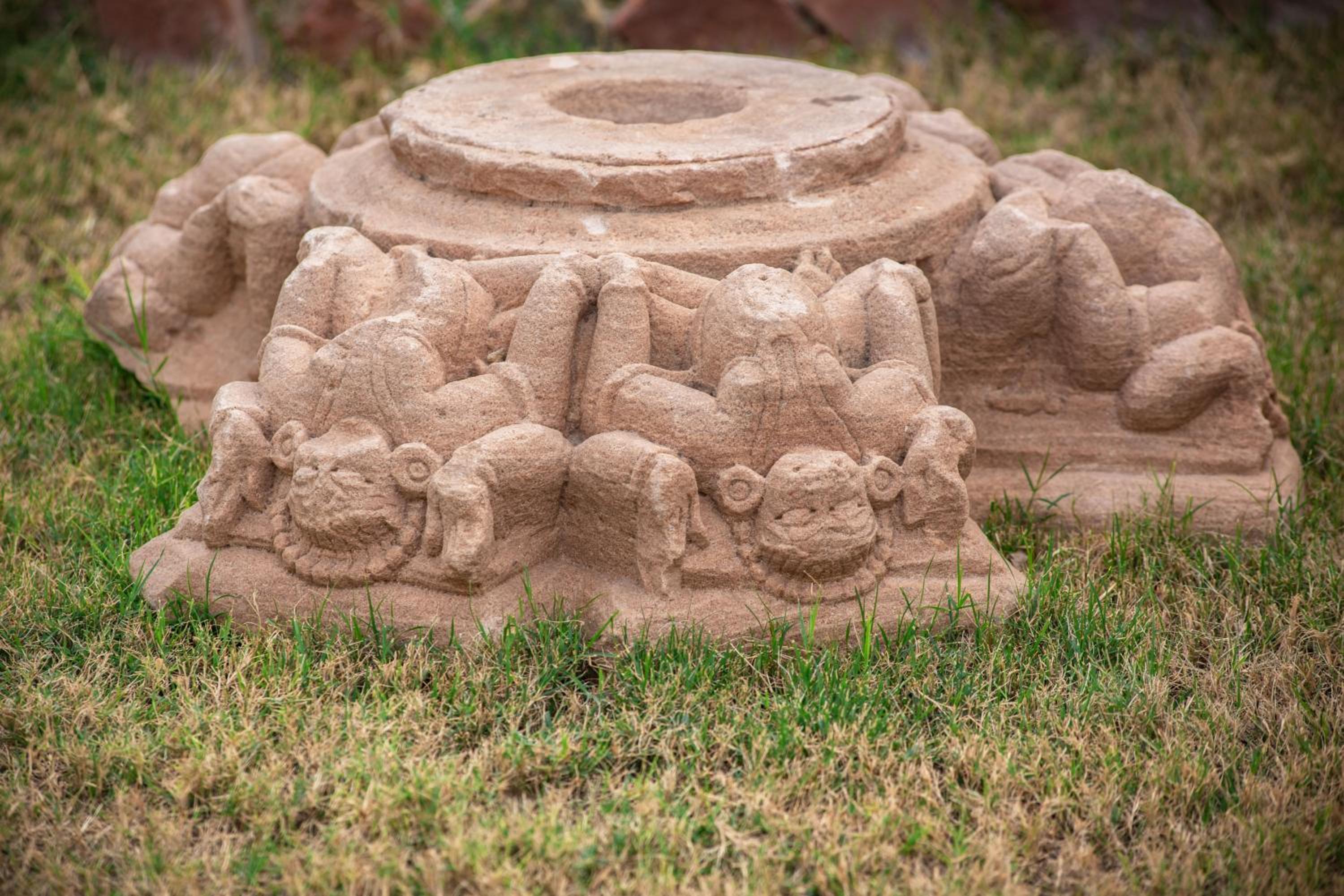 Kot Dunara - A 16th Century Castle near Jodhpur view 5