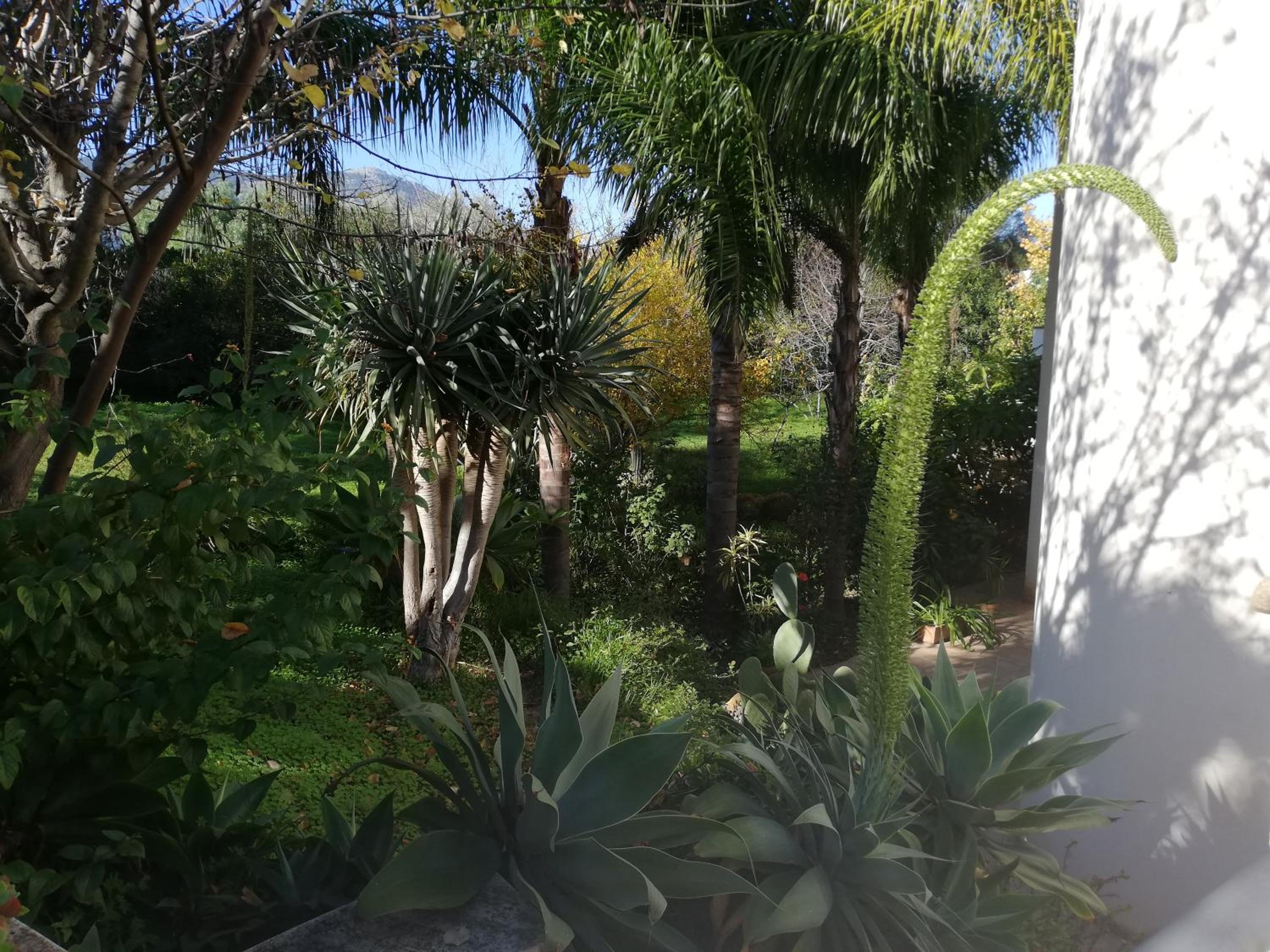 Photo 28