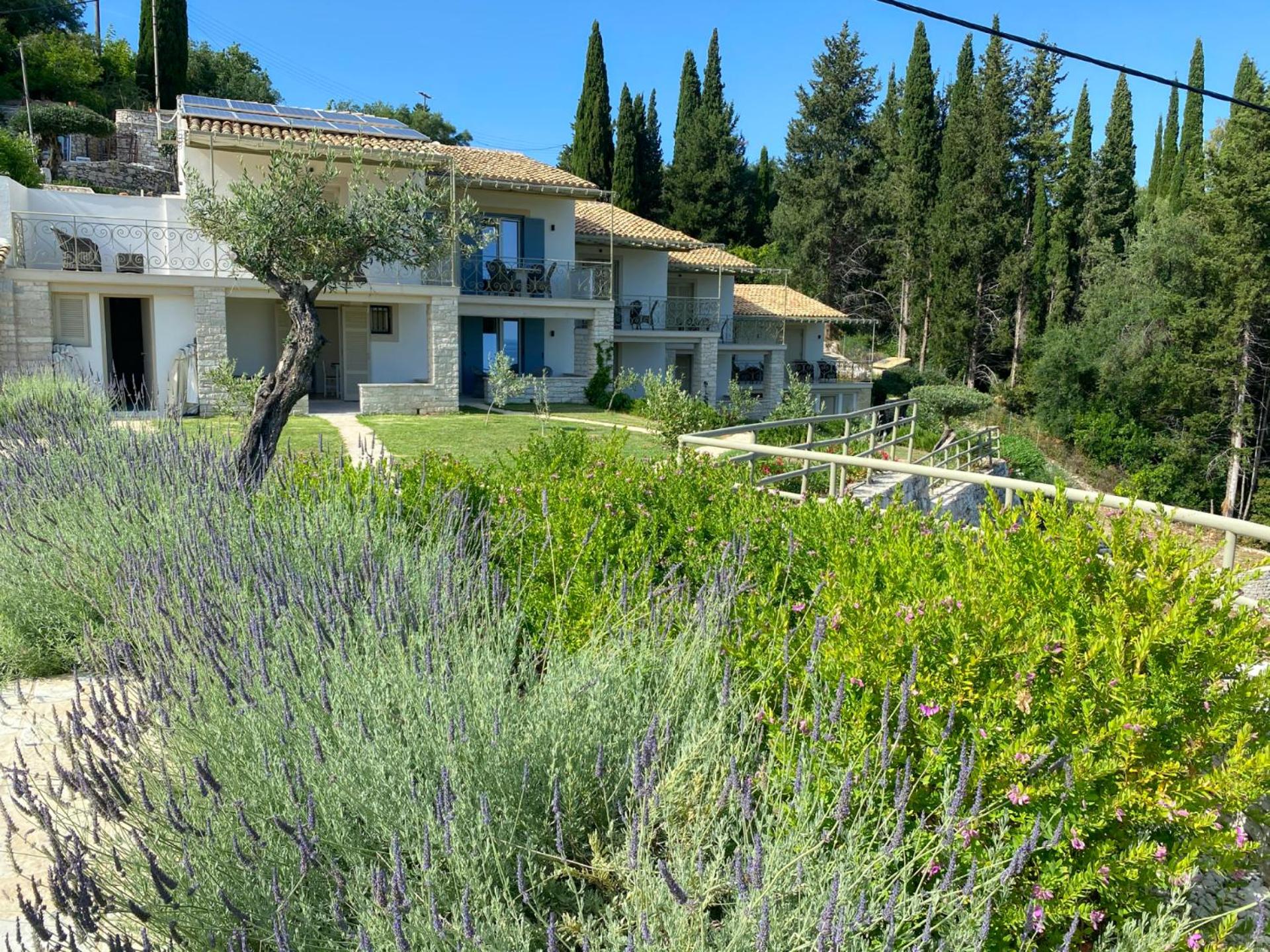 Hotel Paleopetres K-Two - Premium Double Suite Double - Kalami - - Image 1