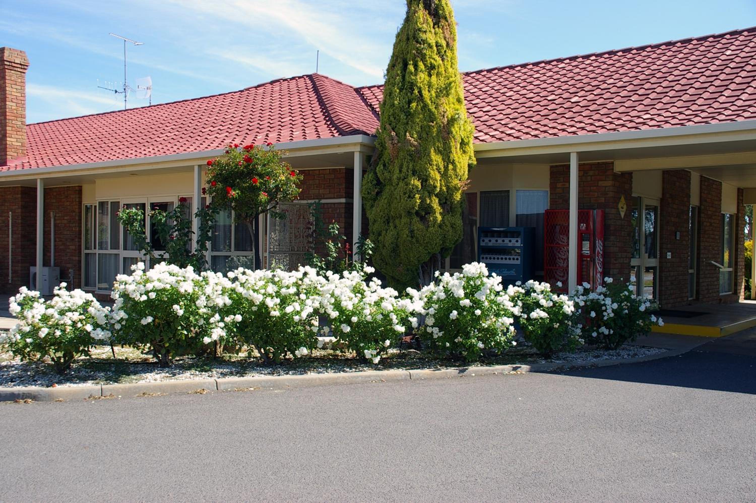 Pines Country Club Motor Inn