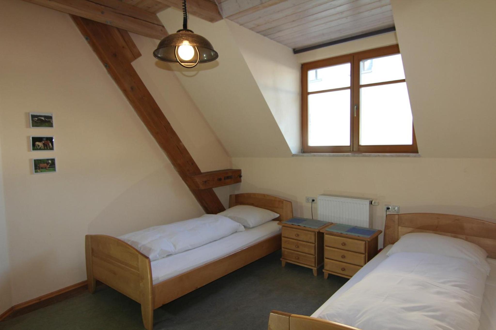 Haflingerhof Galster view 2