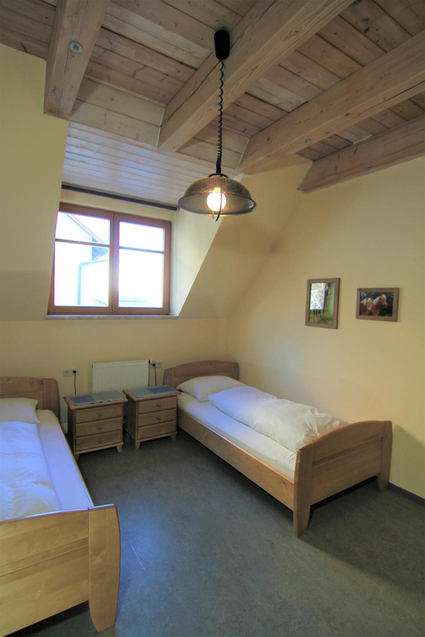 Haflingerhof Galster view 3