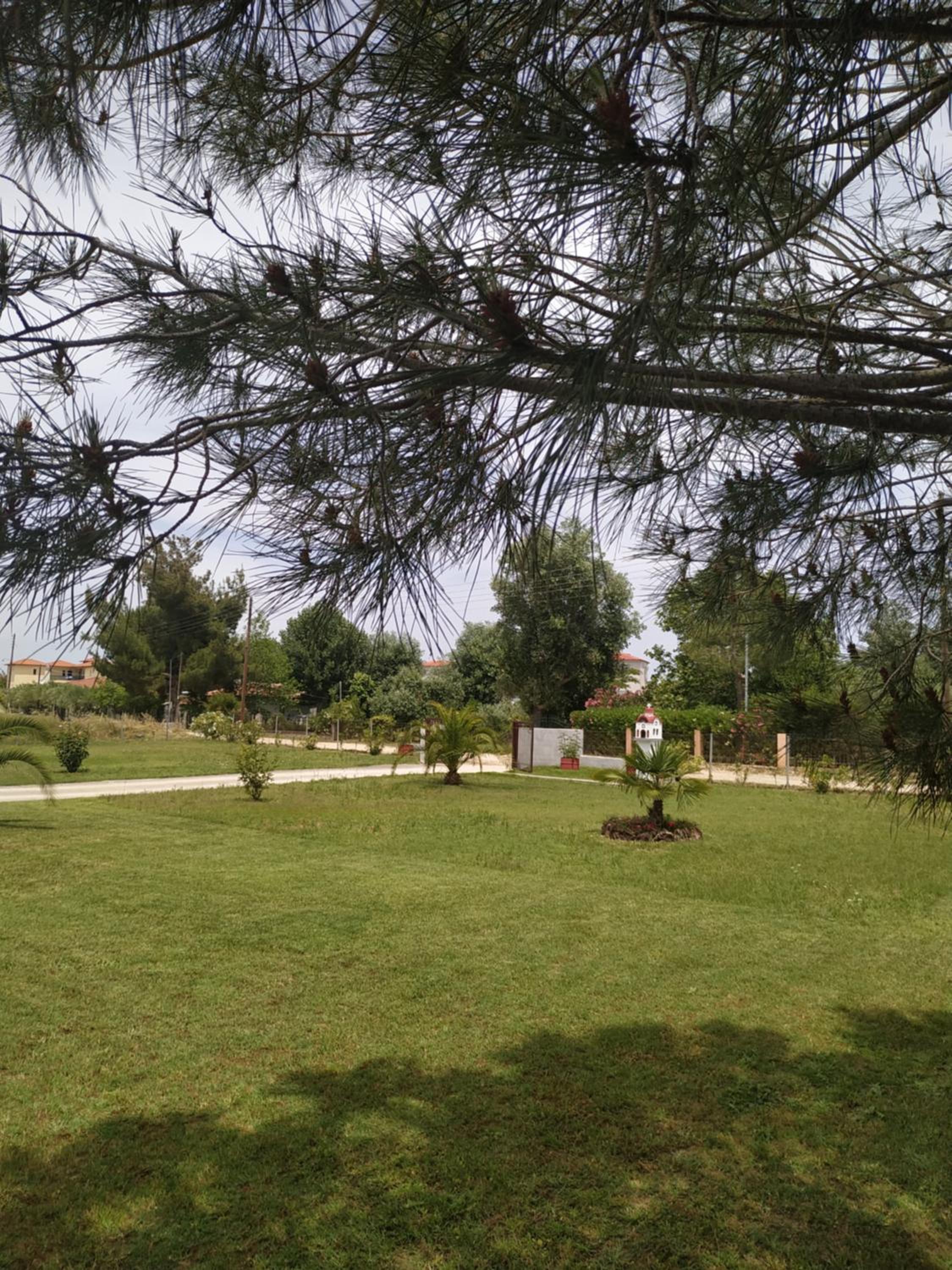 Photo 38