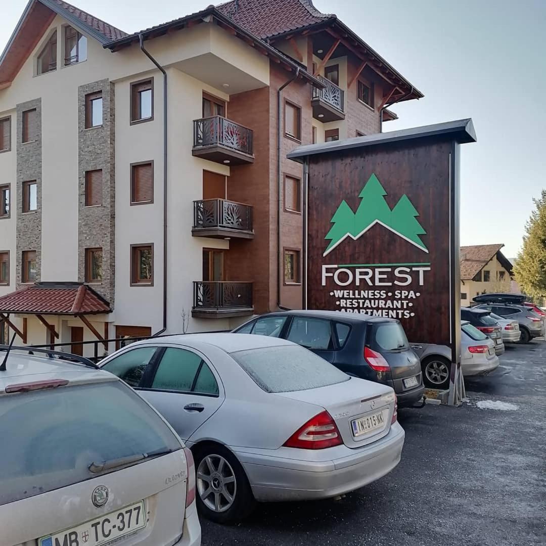 Forest Andrijana view 3